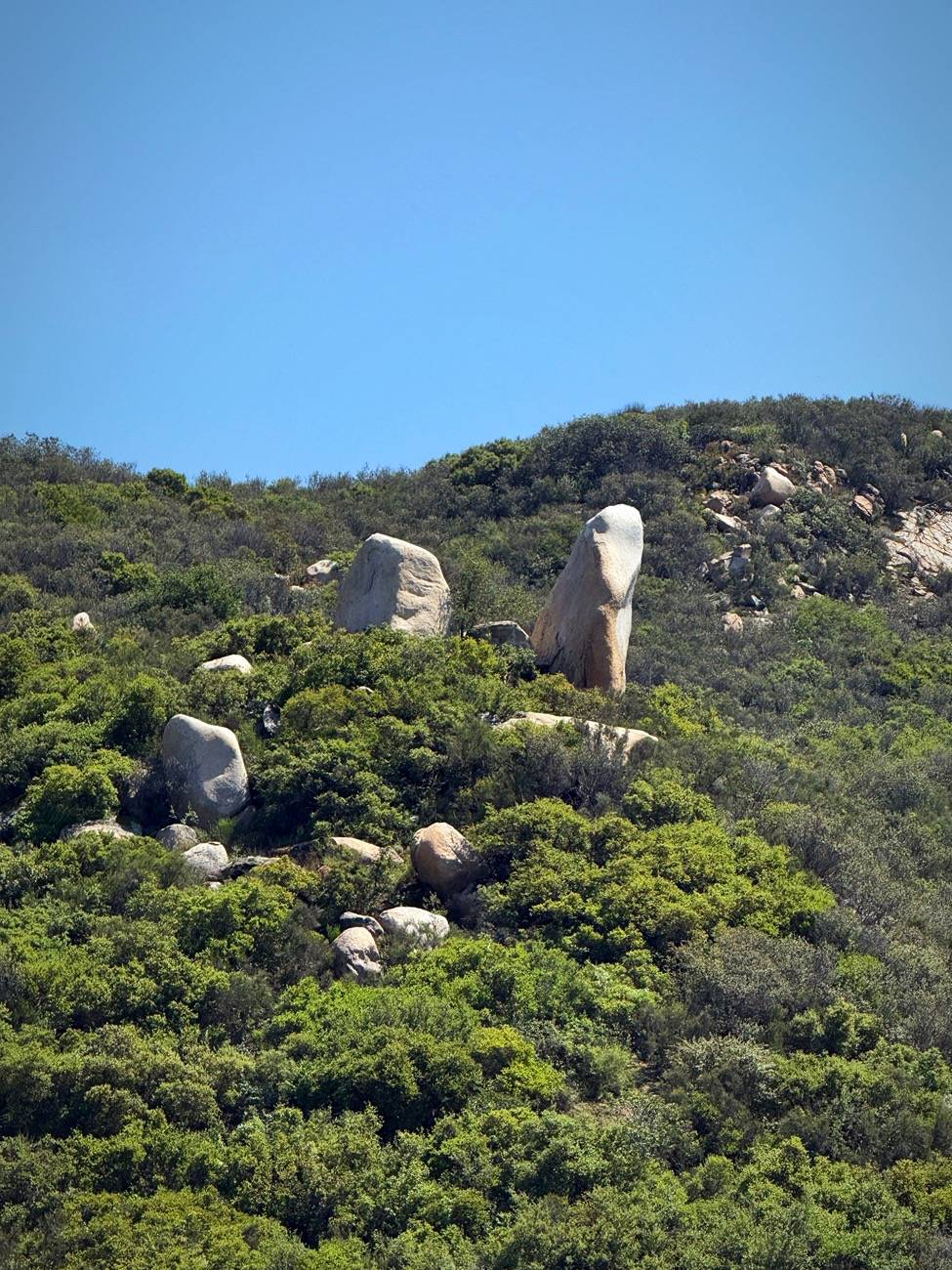 11th Gen Honda Civic What did you do to your FL5 today? IMG_0910