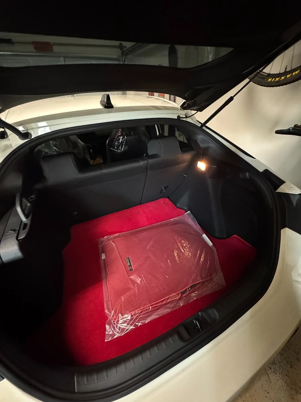 11th Gen Honda Civic Carpet trunk mat? IMG_1073 (1)
