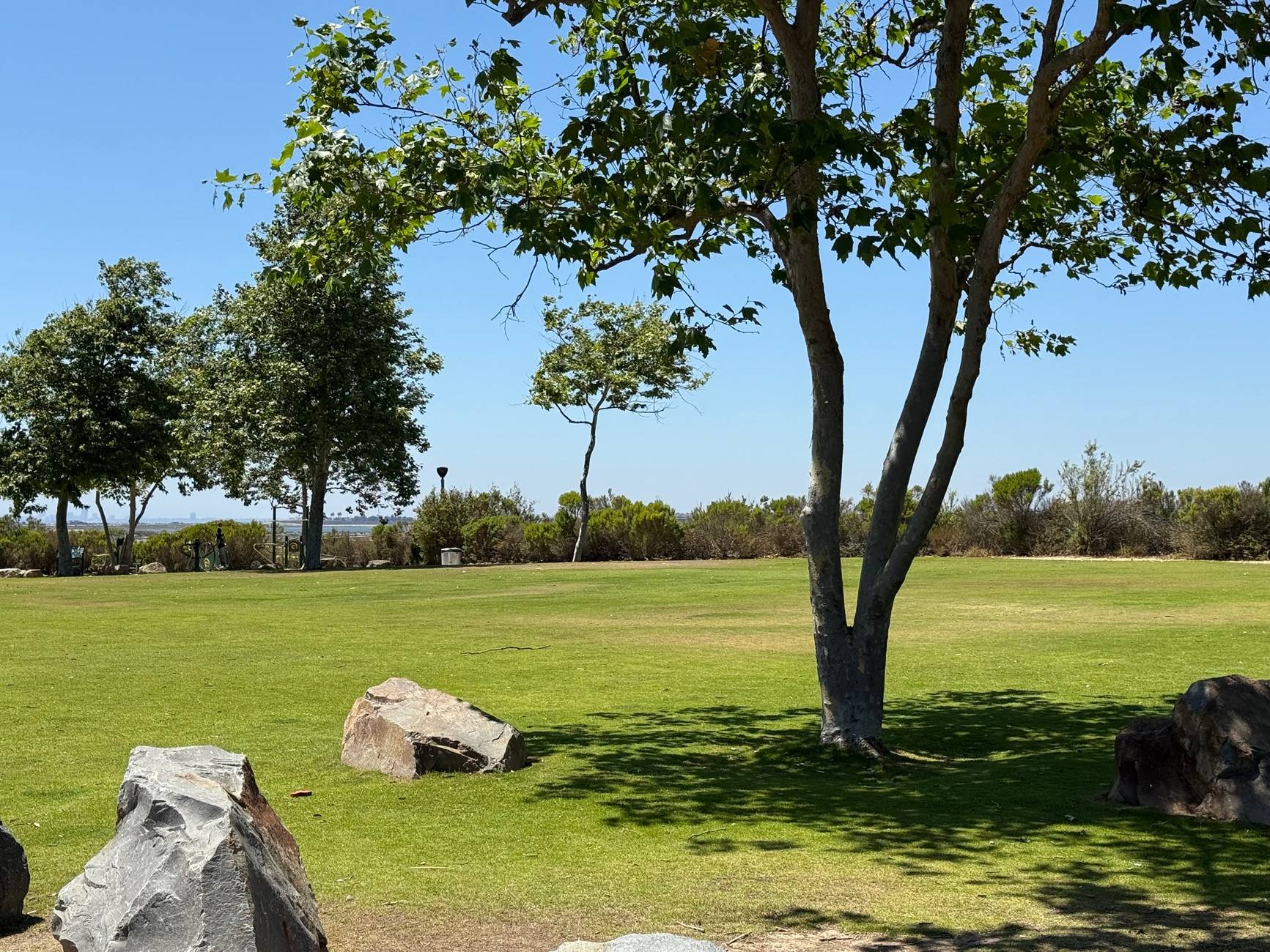 11th Gen Honda Civic What did you do to your FL5 today? IMG_1428