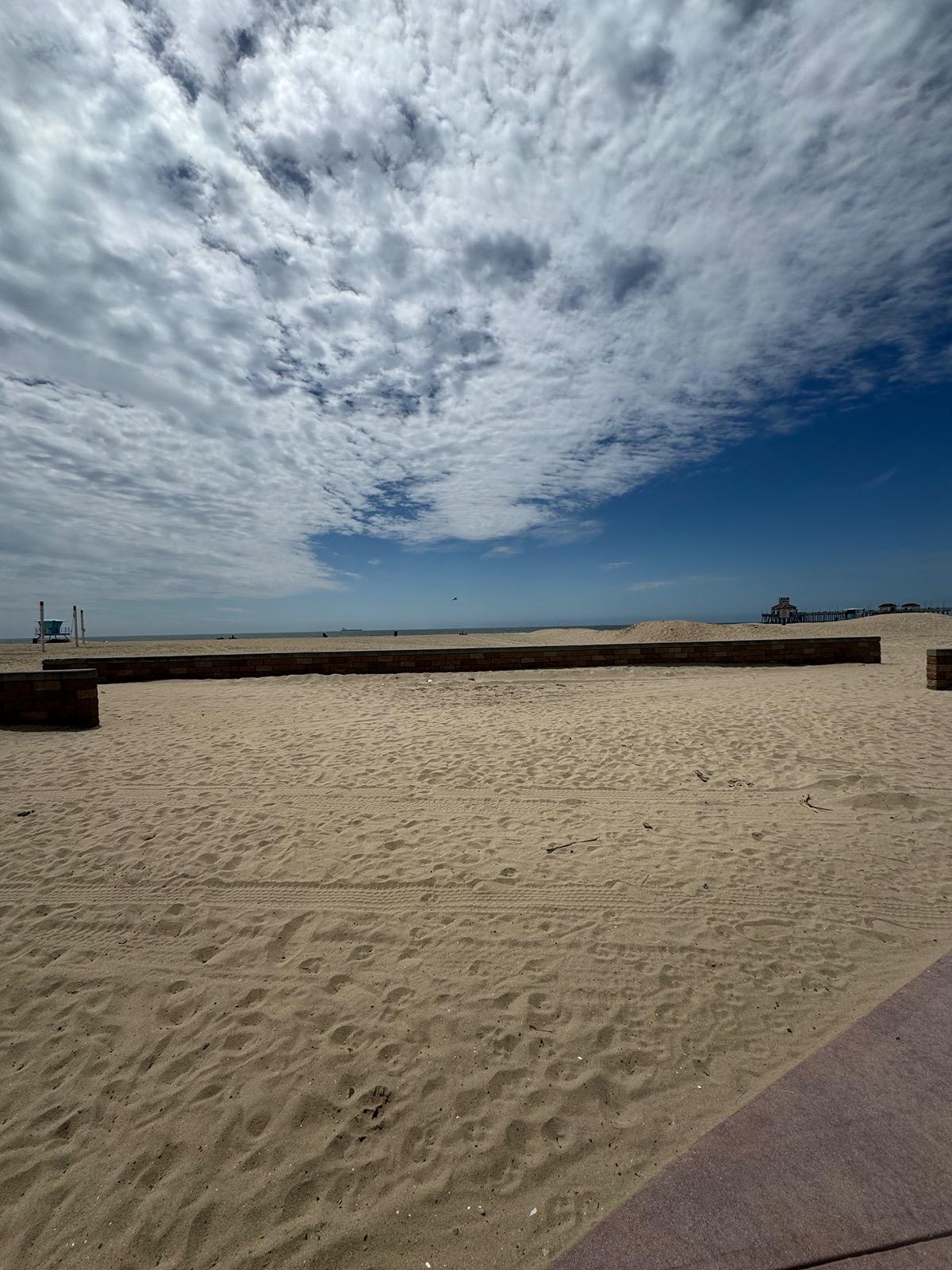 11th Gen Honda Civic What did you do to your FL5 today? IMG_1511