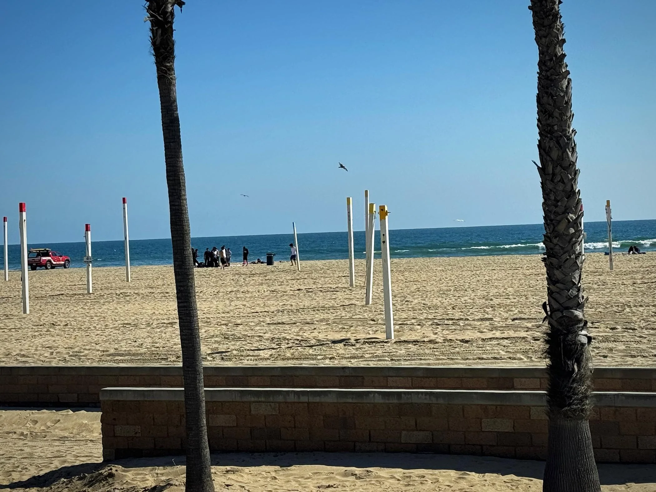 11th Gen Honda Civic What did you do to your FL5 today? IMG_1520