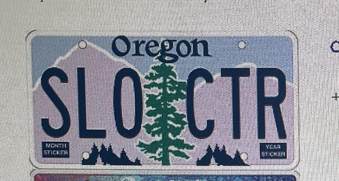 11th Gen Honda Civic FL5 Vanity Plate Hall of Fame IMG_1530