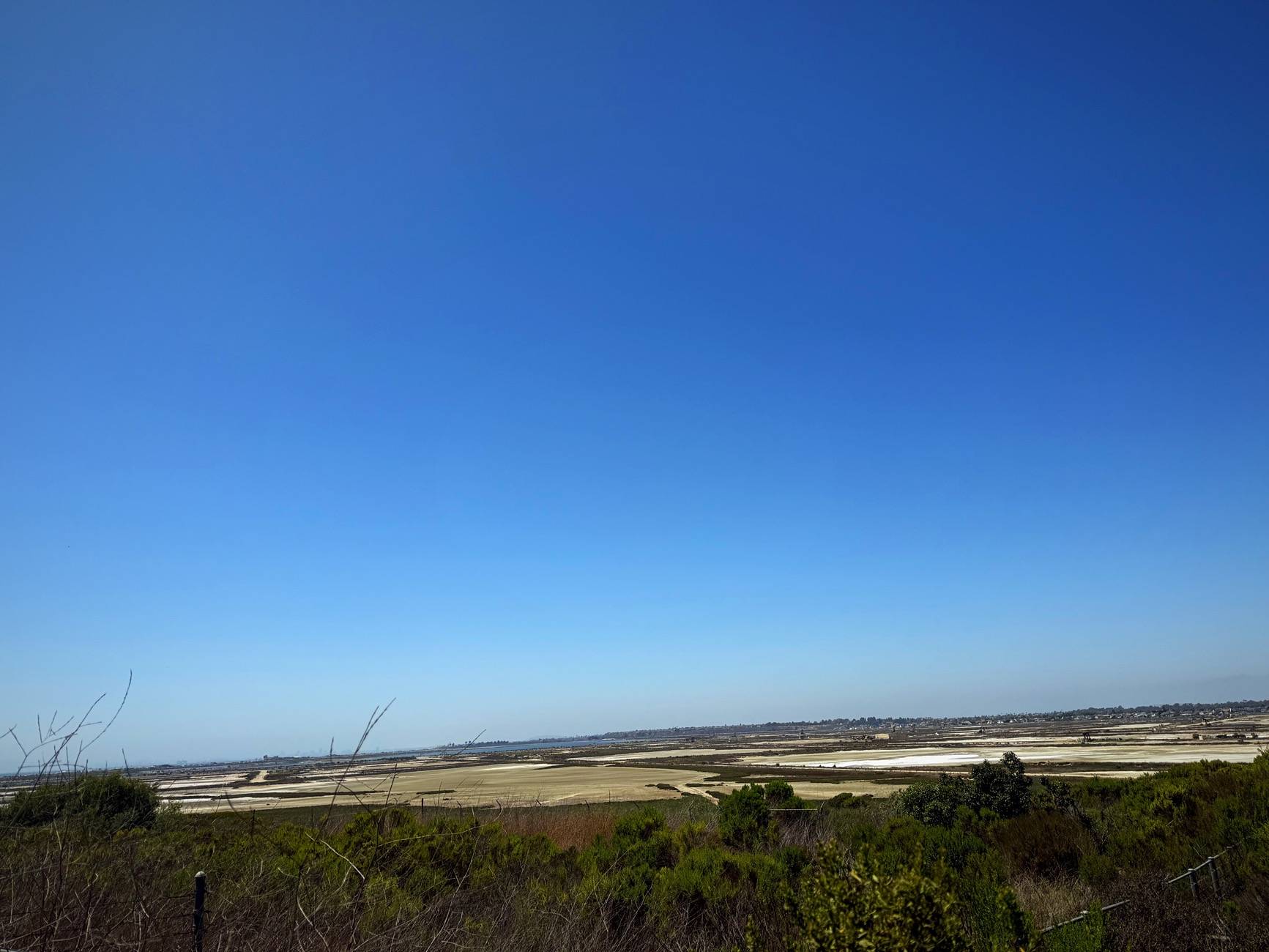 11th Gen Honda Civic What did you do to your FL5 today? IMG_1546