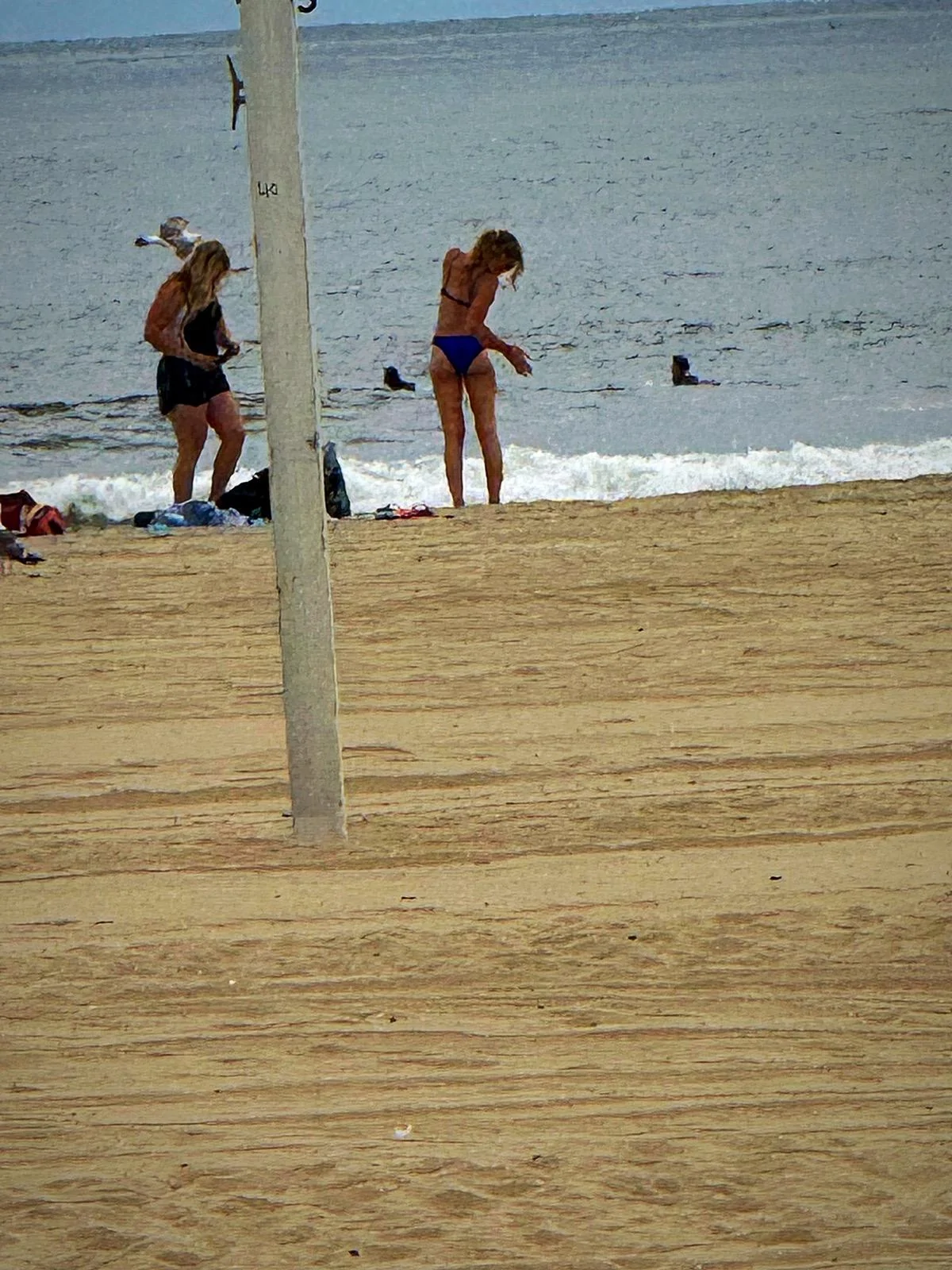 11th Gen Honda Civic What did you do to your FL5 today? IMG_1821