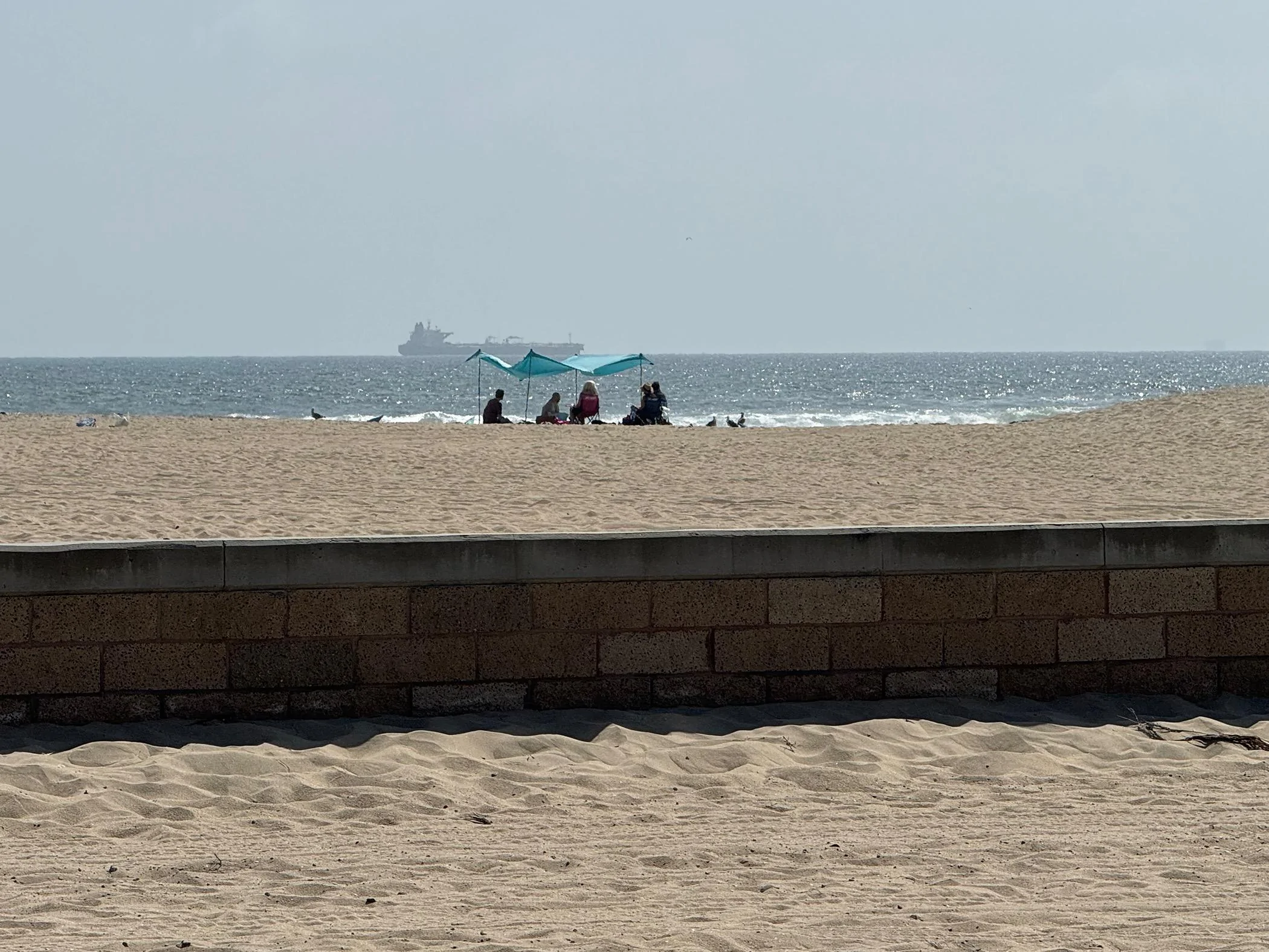 11th Gen Honda Civic What did you do to your FL5 today? IMG_1916