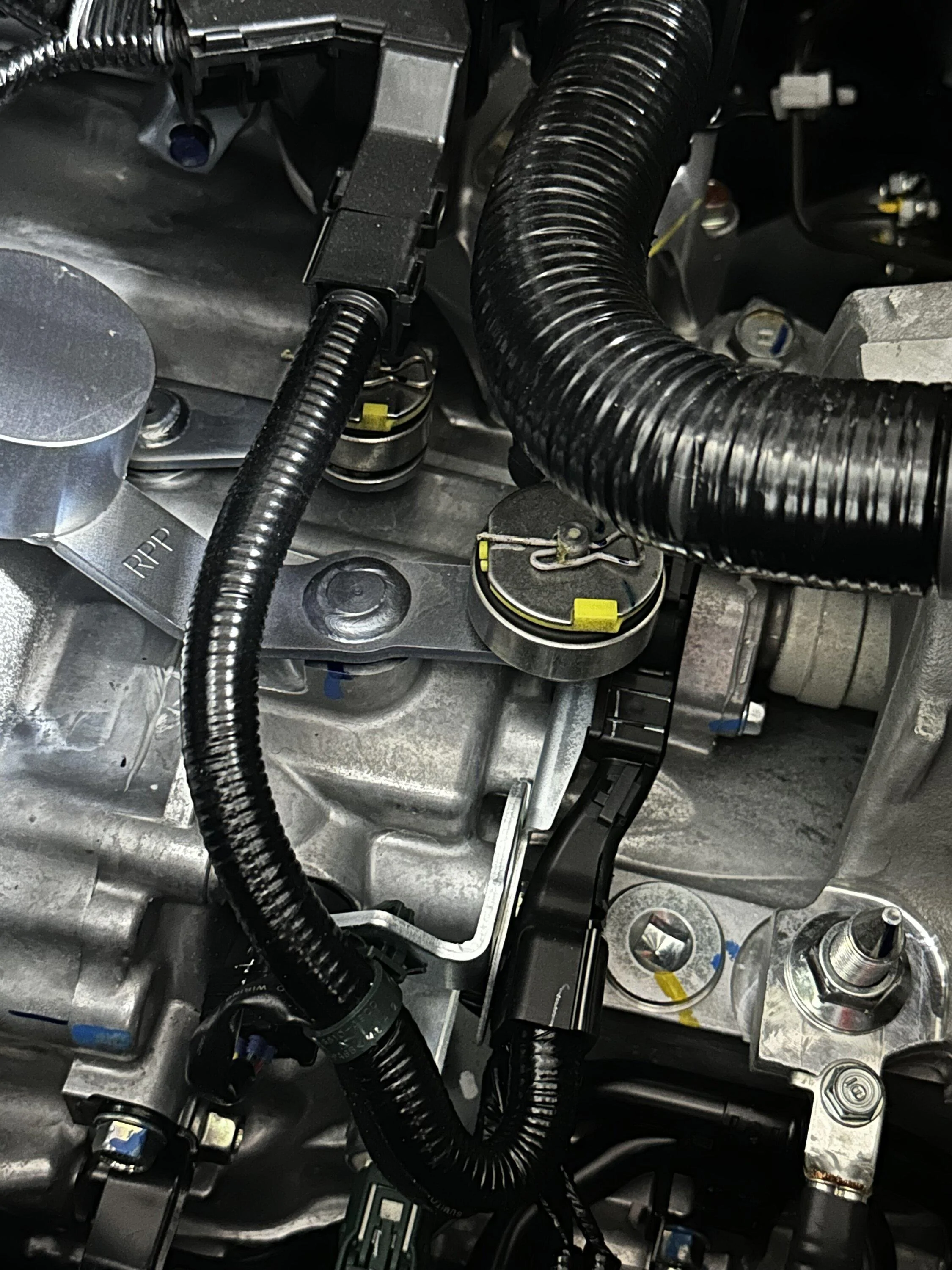 11th Gen Honda Civic Jester’s FL5 build journal. IMG_1933