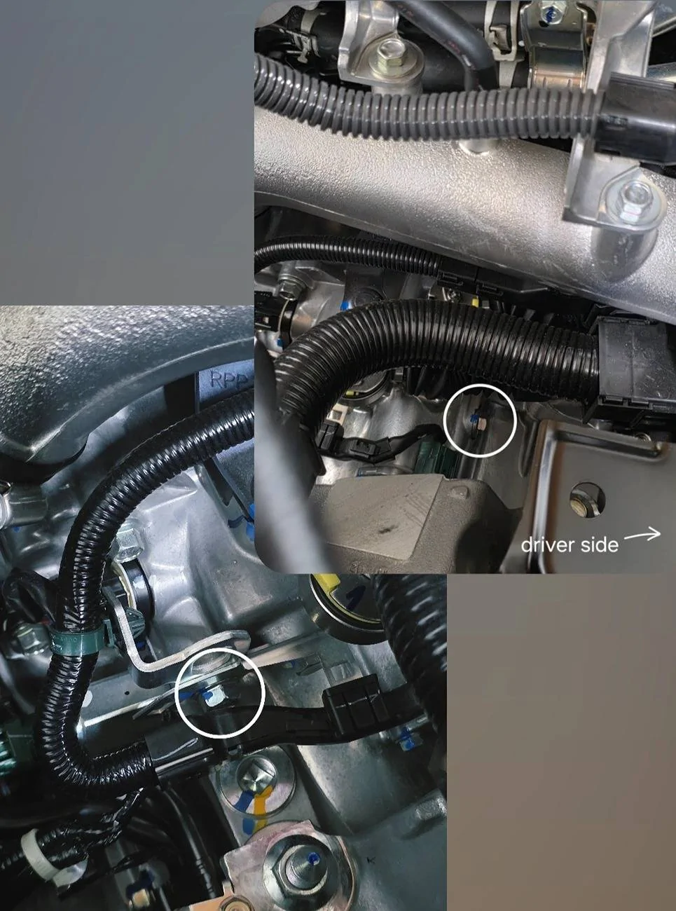 11th Gen Honda Civic Fenrir1's 2025 Civic Type R FL5 CW IMG_20250515_210213_636