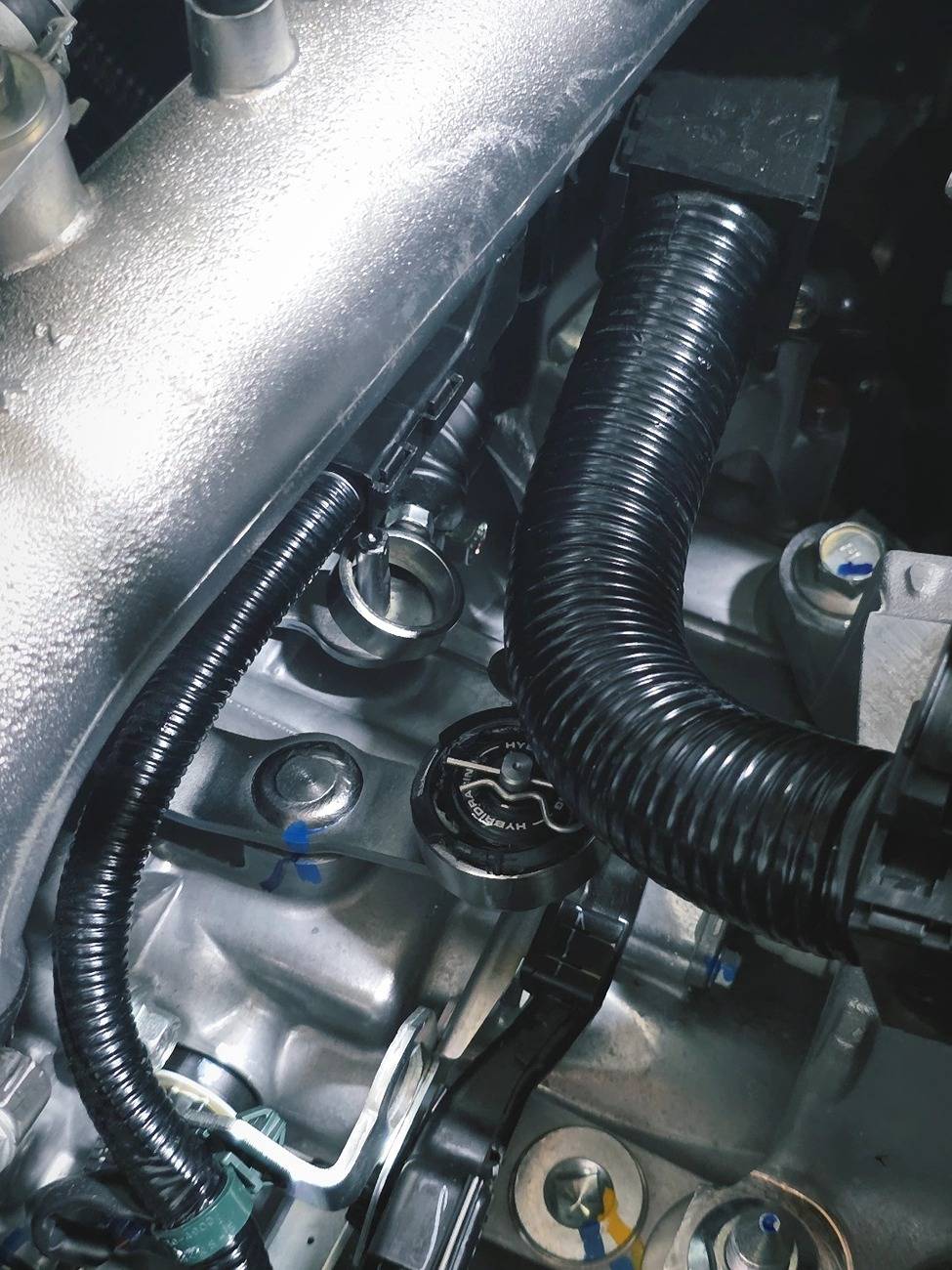 11th Gen Honda Civic Fenrir1's 2025 Civic Type R FL5 CW IMG_20250515_210404_312