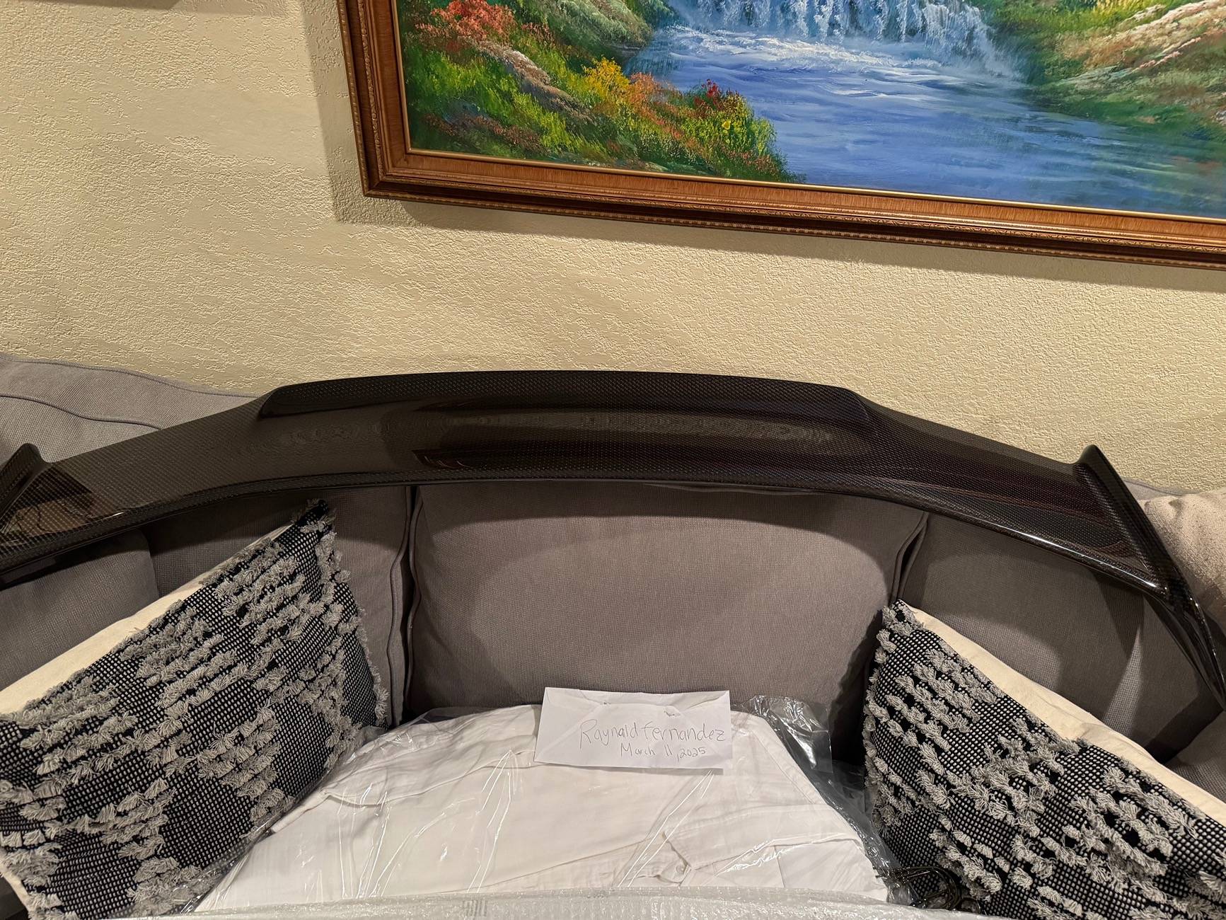 11th Gen Honda Civic OEM Carbon fiber wing IMG_2061