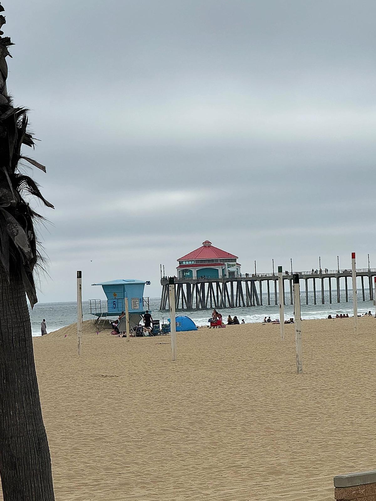 11th Gen Honda Civic What did you do to your FL5 today? IMG_2092