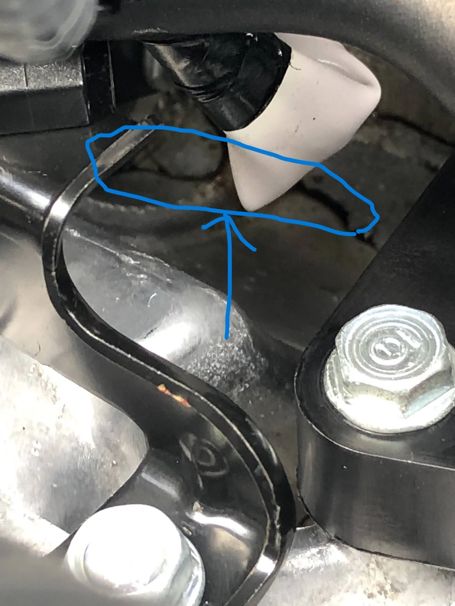 11th Gen Honda Civic Oil leak... on 2022 Civic Si with about 7500 mile IMG_2187