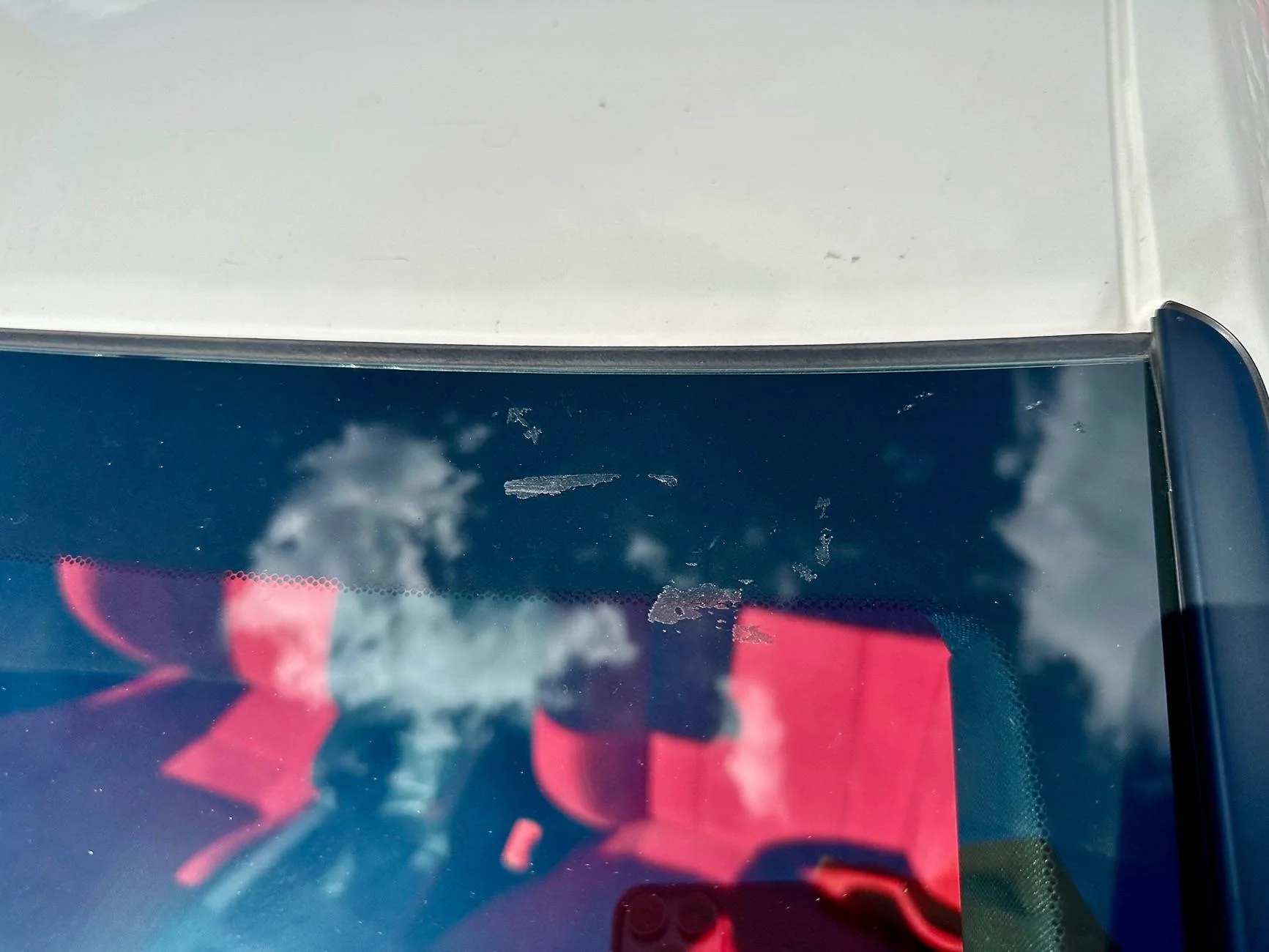 11th Gen Honda Civic Windshield replacement seal/help IMG_2241