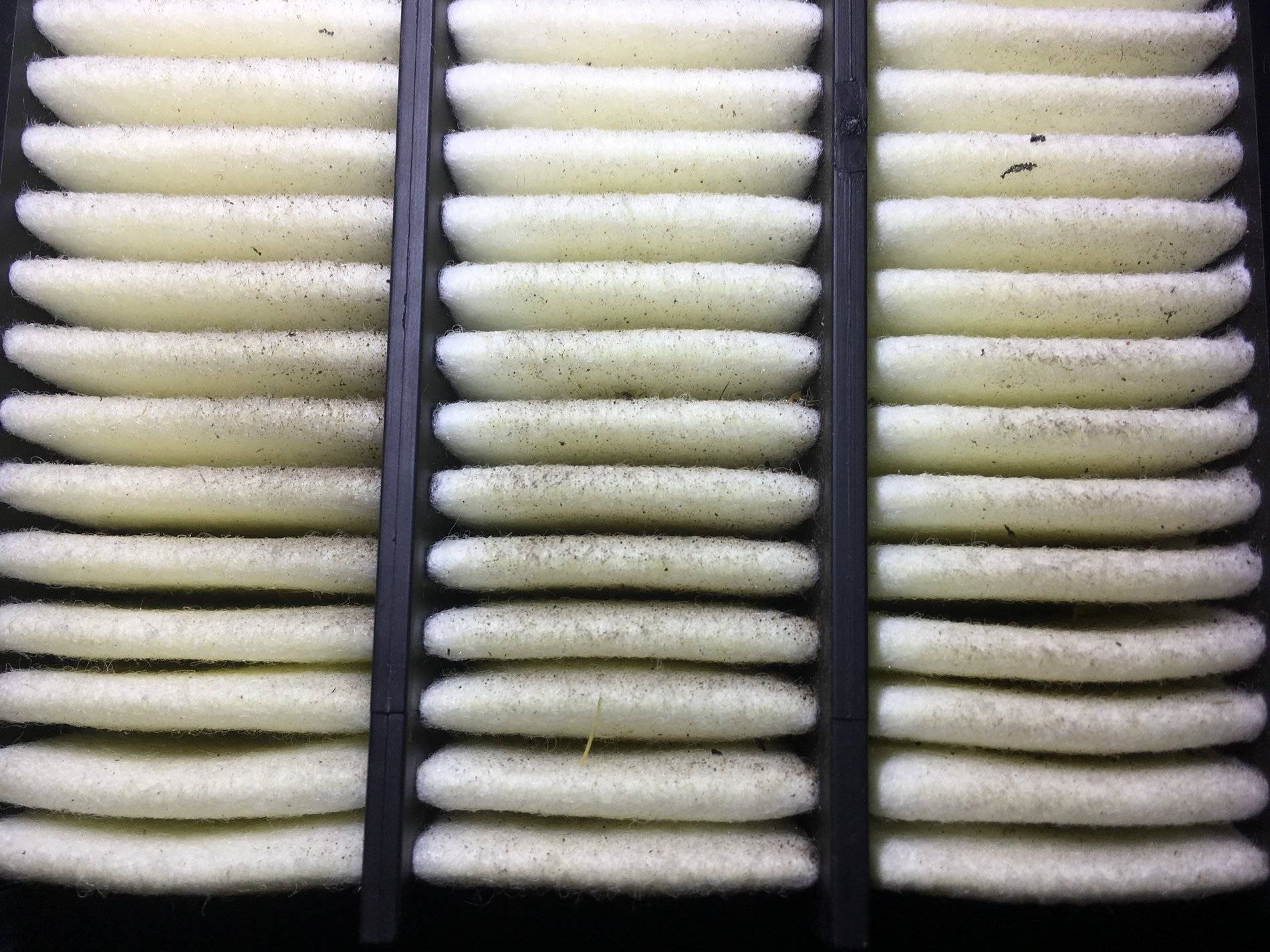 11th Gen Honda Civic PRL Stage 1 (1.5T Si) question... IMG_2362.JPG