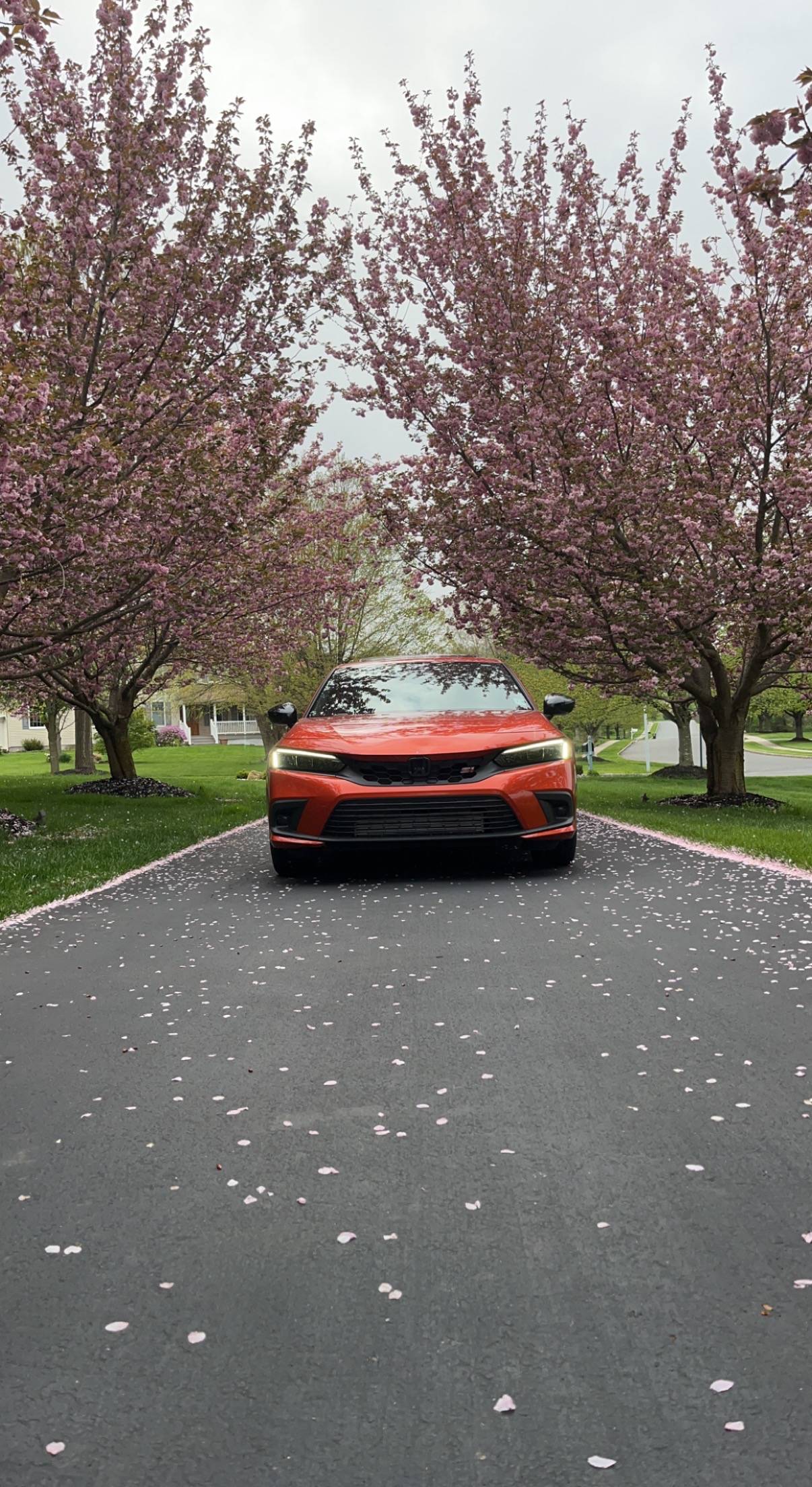 11th Gen Honda Civic '22 Civic SI Blaze Orange For sale IMG_2779.JPG