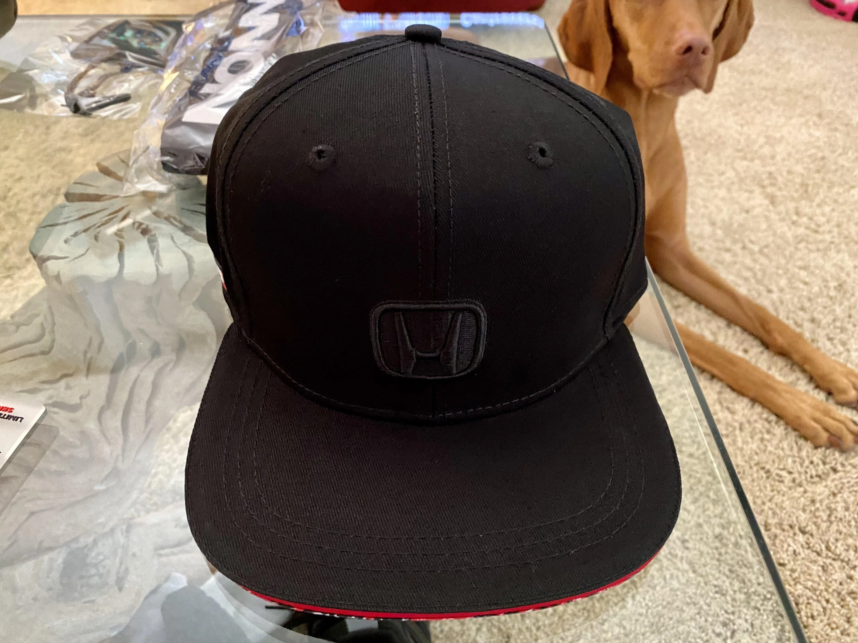 11th Gen Honda Civic FS: Autocannon Type R Clothing / Apparel IMG_3017