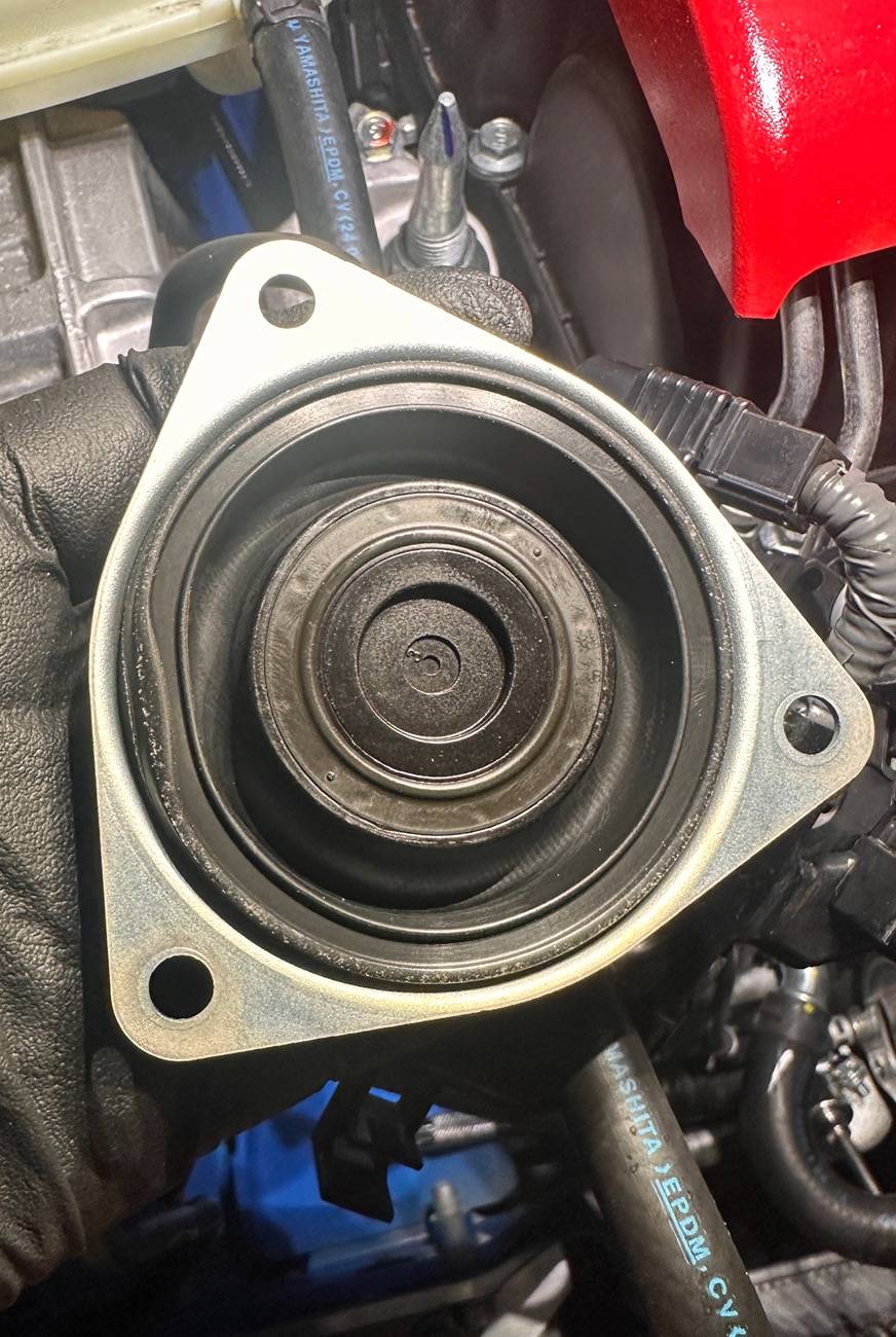 11th Gen Honda Civic What did you do to your FL5 today? IMG_3045