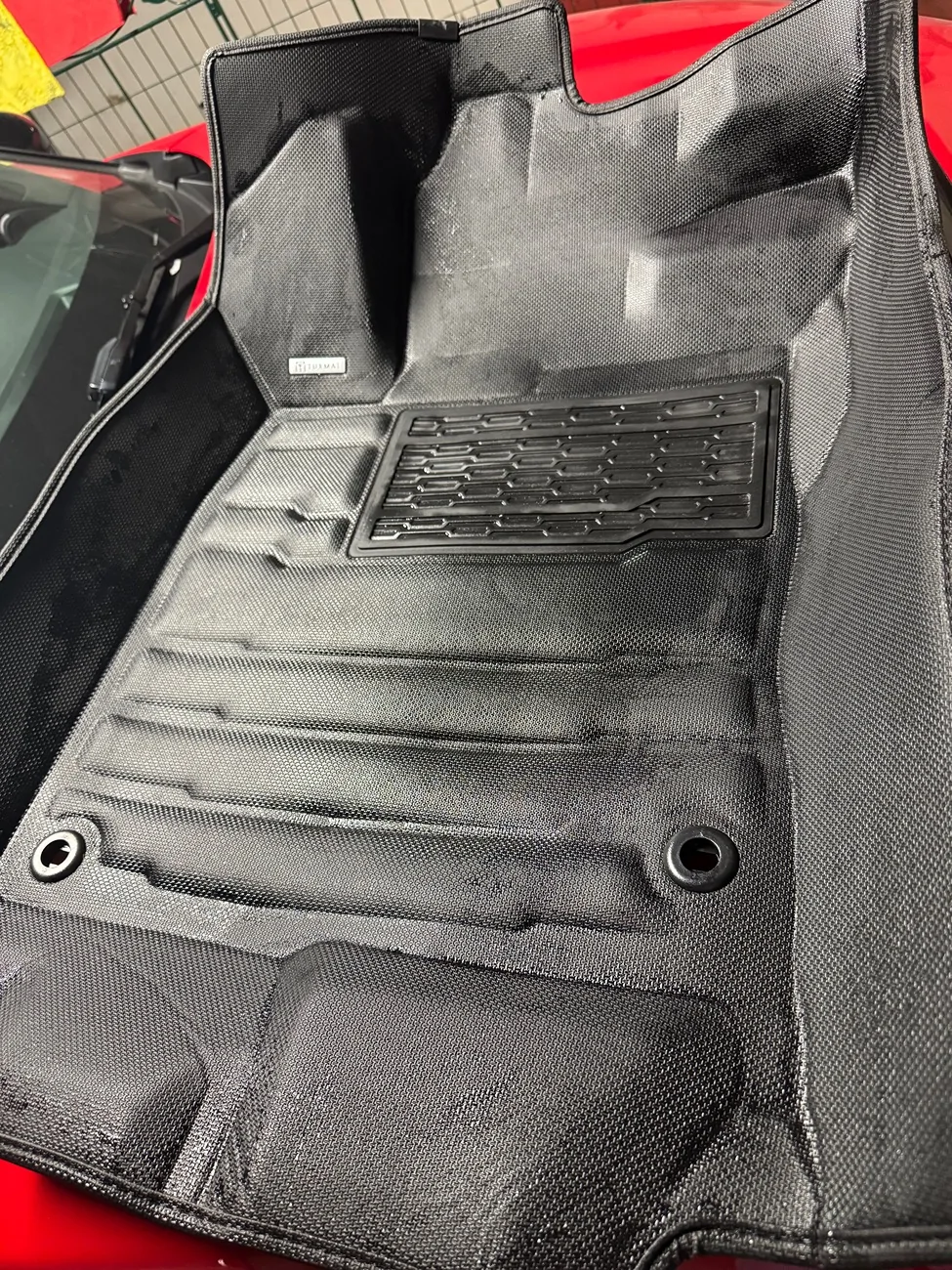 11th Gen Honda Civic Type S Module, and Tuxmat mats IMG_3051