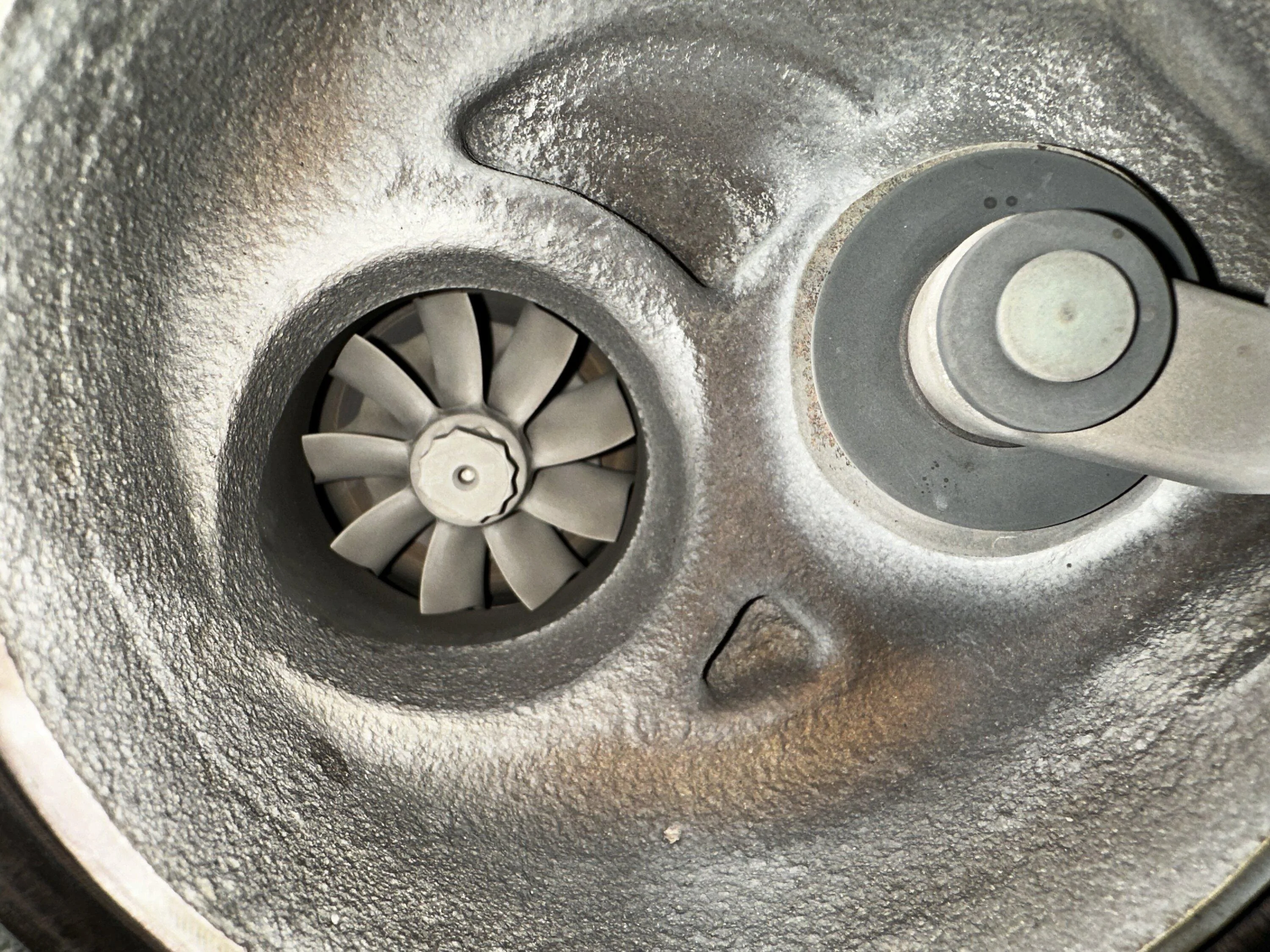 11th Gen Honda Civic Jester’s FL5 build journal. IMG_3281