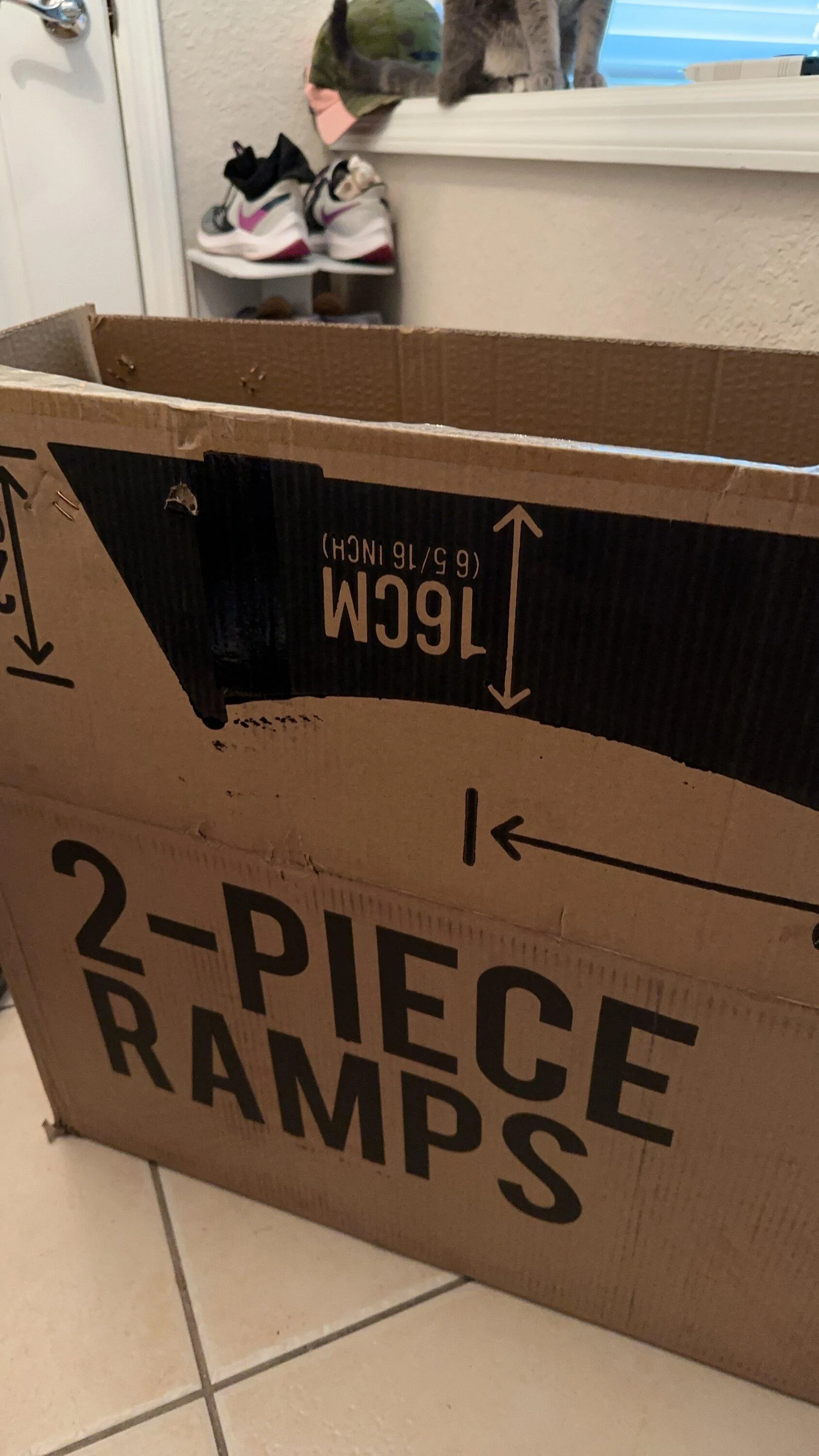 11th Gen Honda Civic What did you do to your FL5 today? IMG_3645