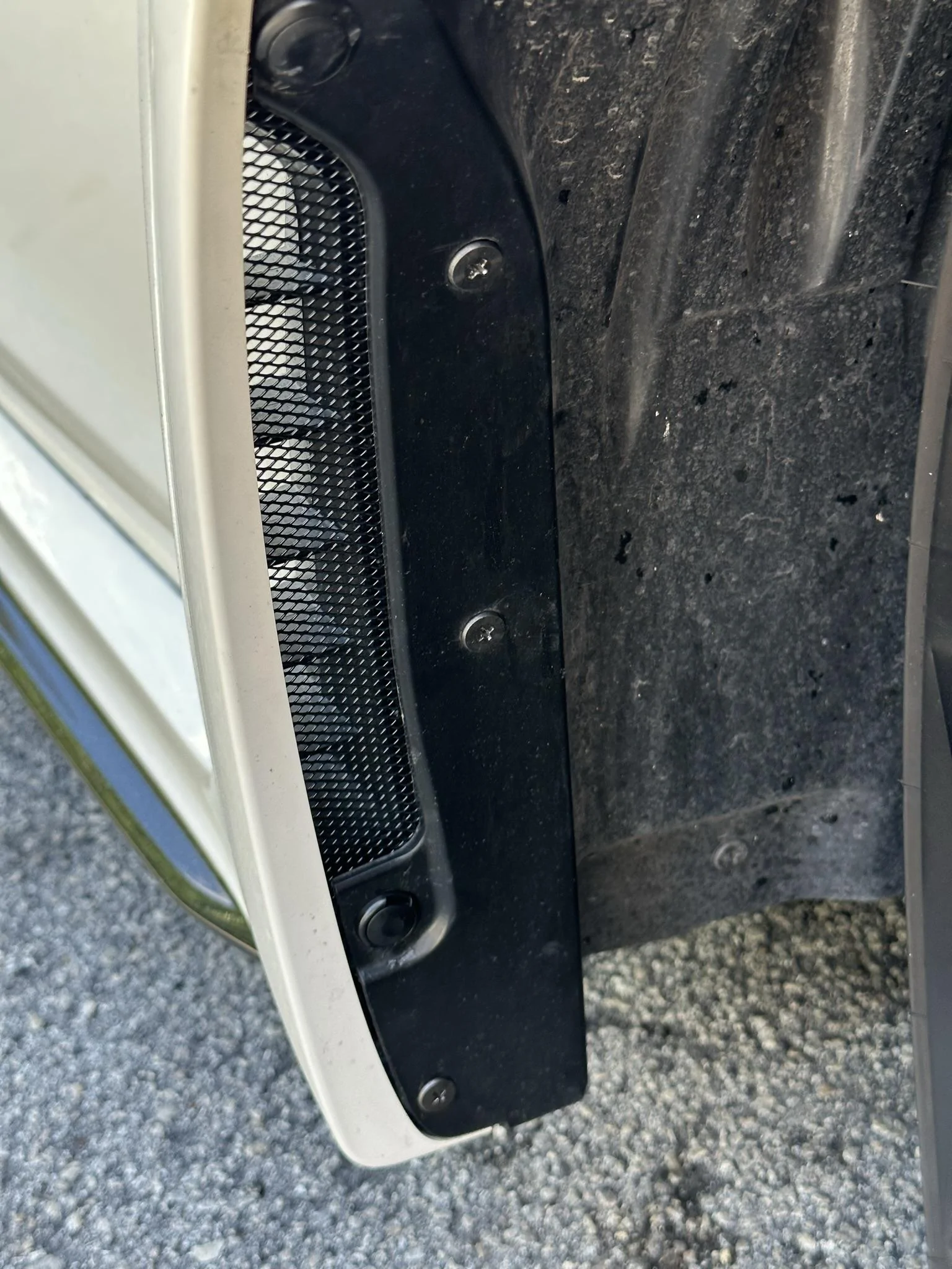 11th Gen Honda Civic What did you do to your FL5 today? IMG_3680