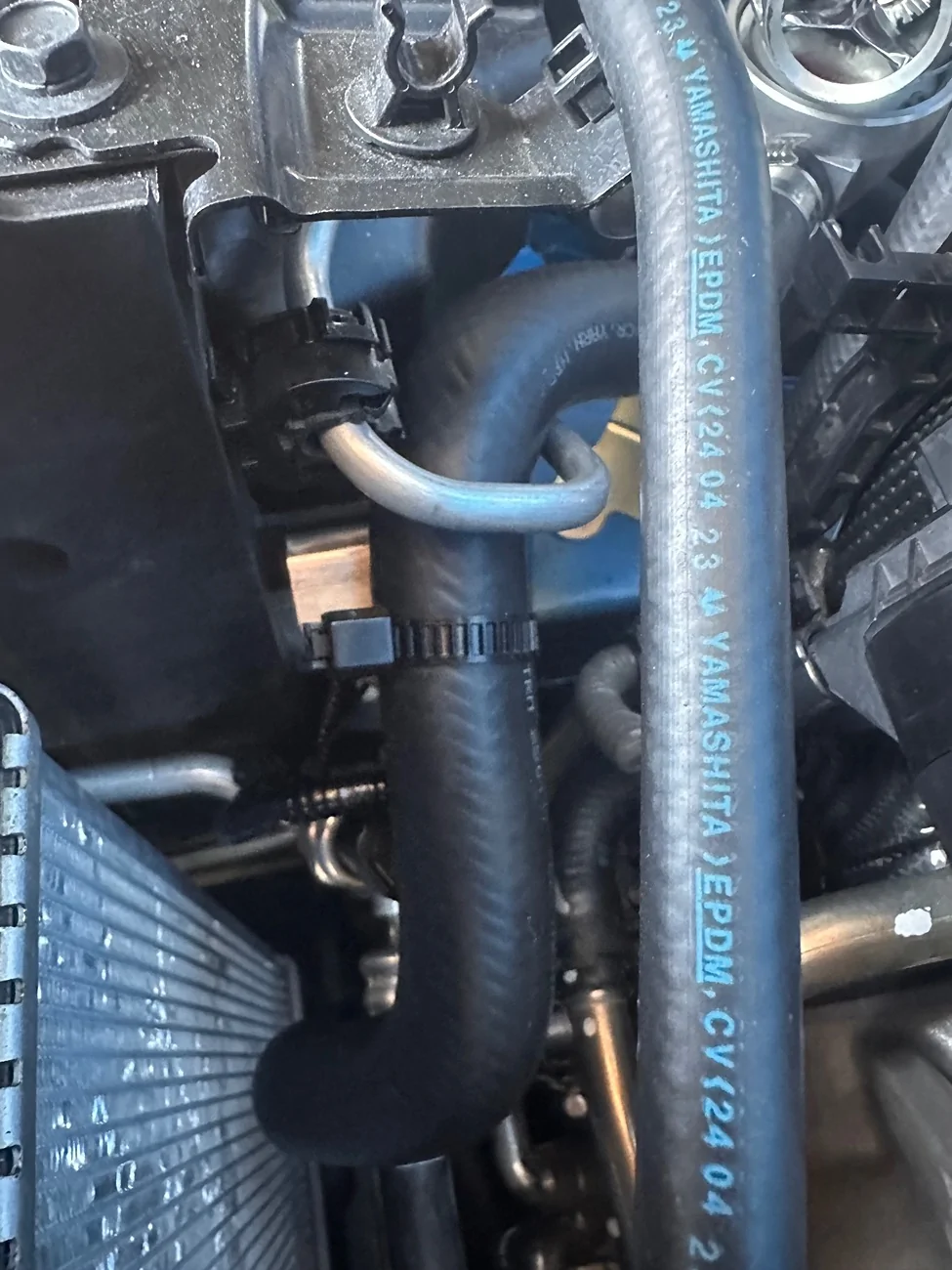 11th Gen Honda Civic What did you do to your FL5 today? IMG_3724