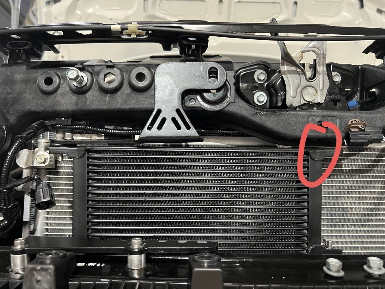 11th Gen Honda Civic 2024 REVWORX FL5 Type R Build IMG_4041