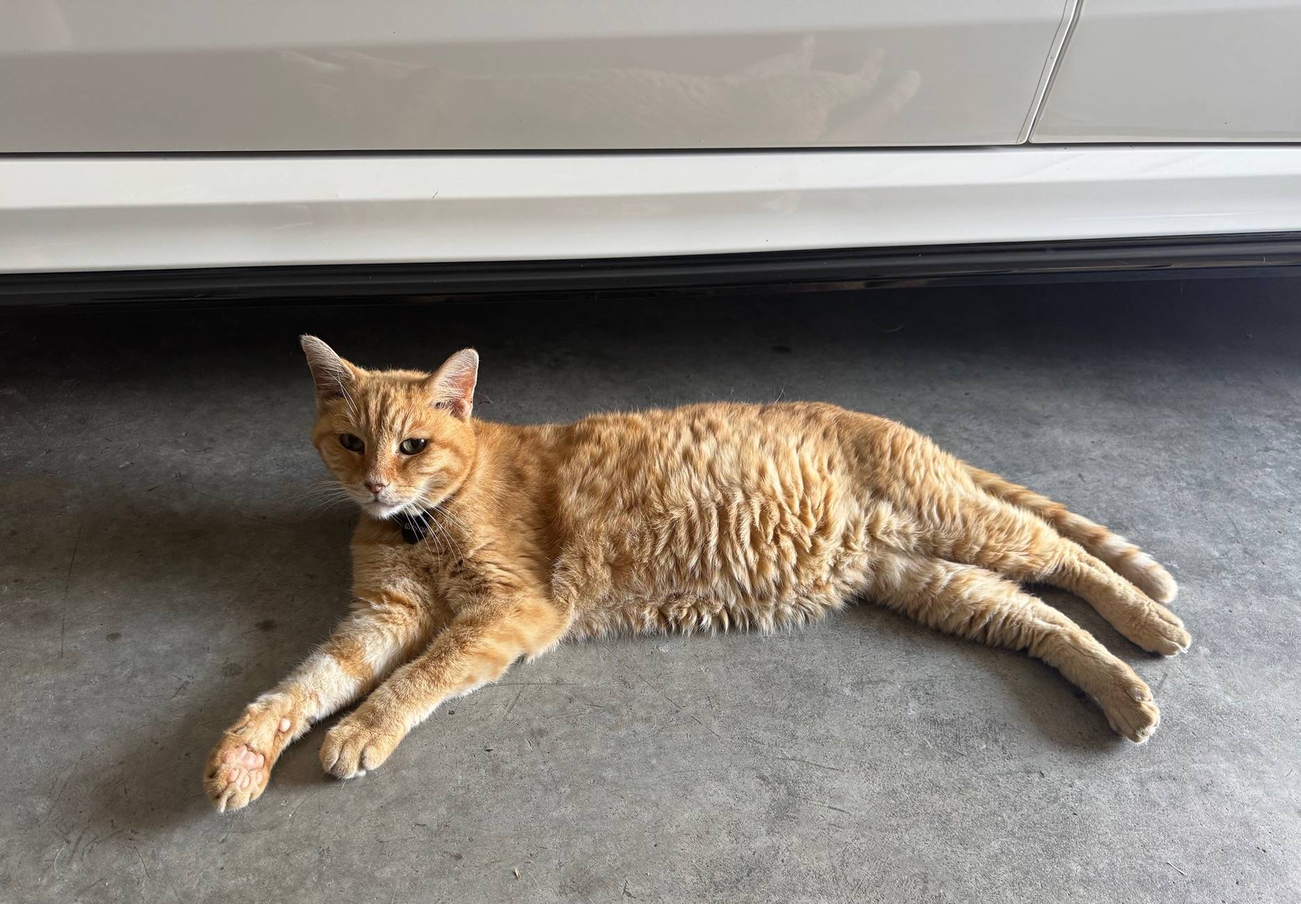 11th Gen Honda Civic Rchive- An FL5 ownership journal IMG_4349