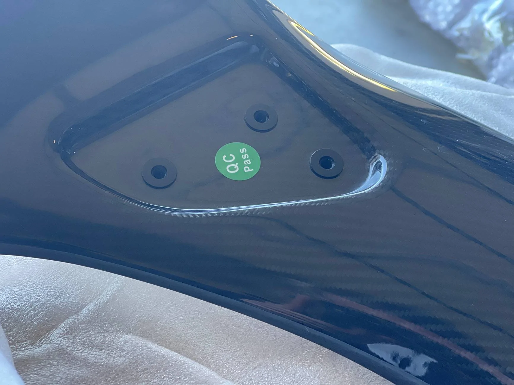 11th Gen Honda Civic OLM carbon fiber FL5 IMG_5212