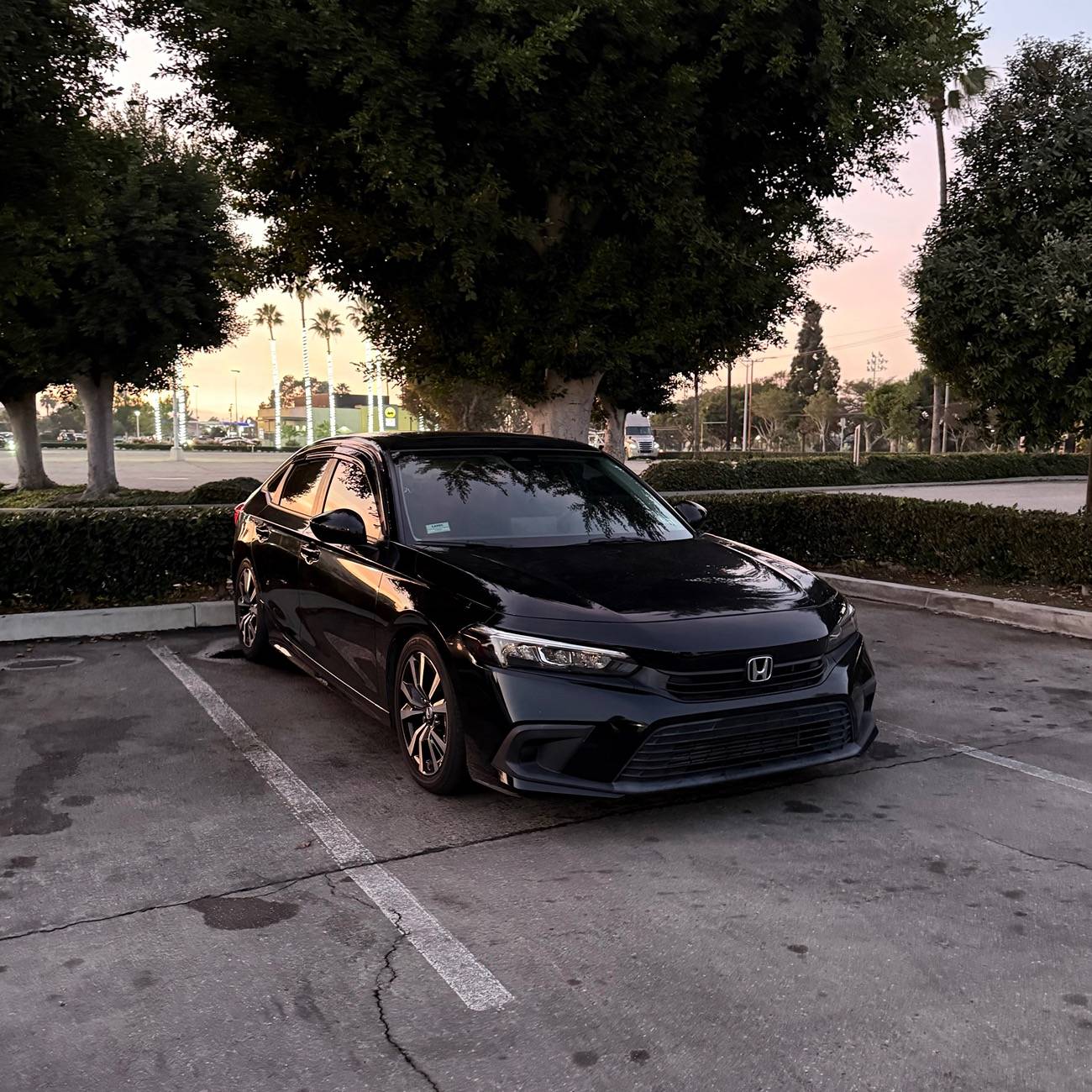 11th Gen Honda Civic Will 10th Gen H&R Springs fit on 11th Gen? IMG_5470