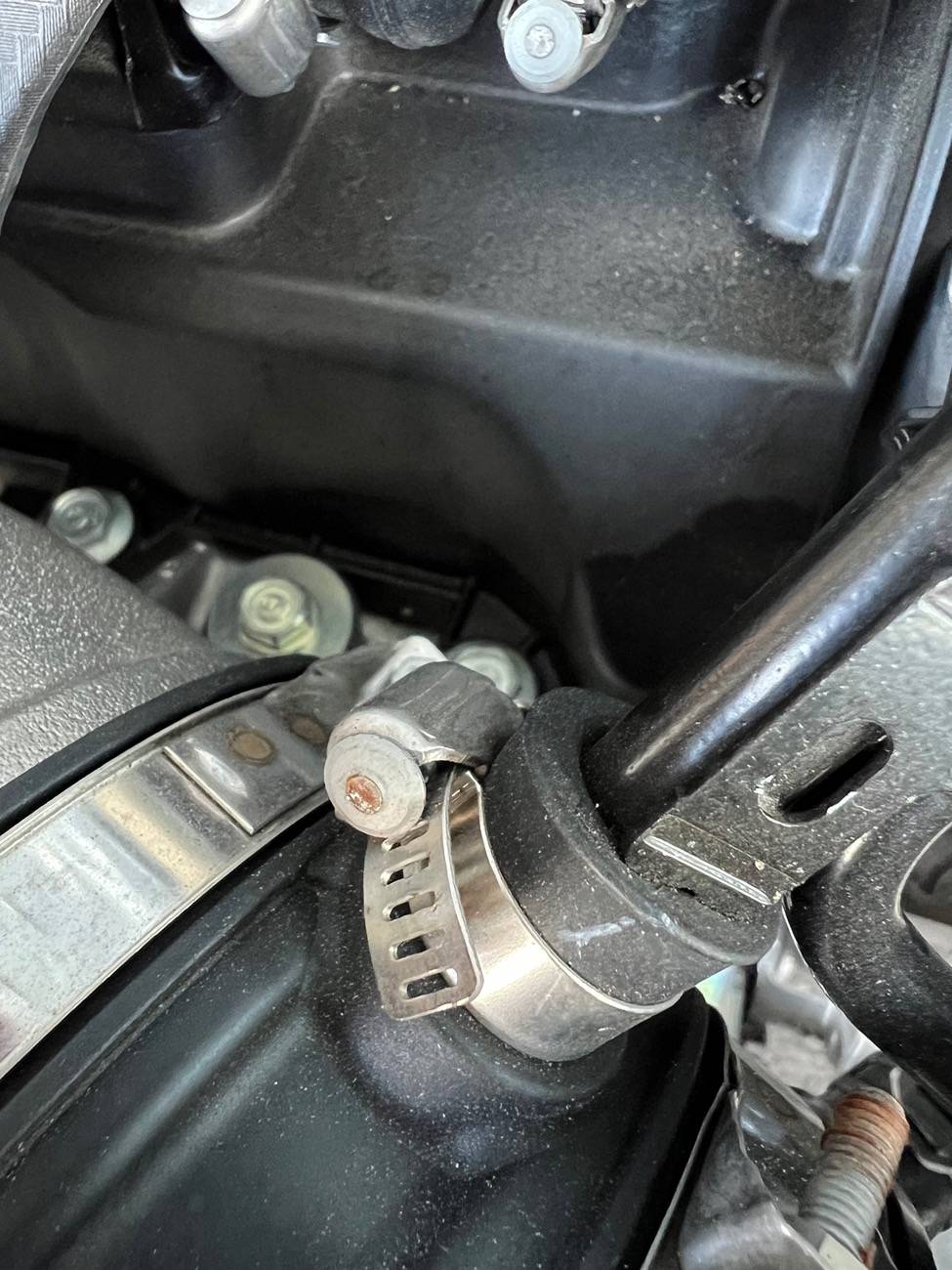 11th Gen Honda Civic Single Use Hose Clamp Removal??? IMG_5927