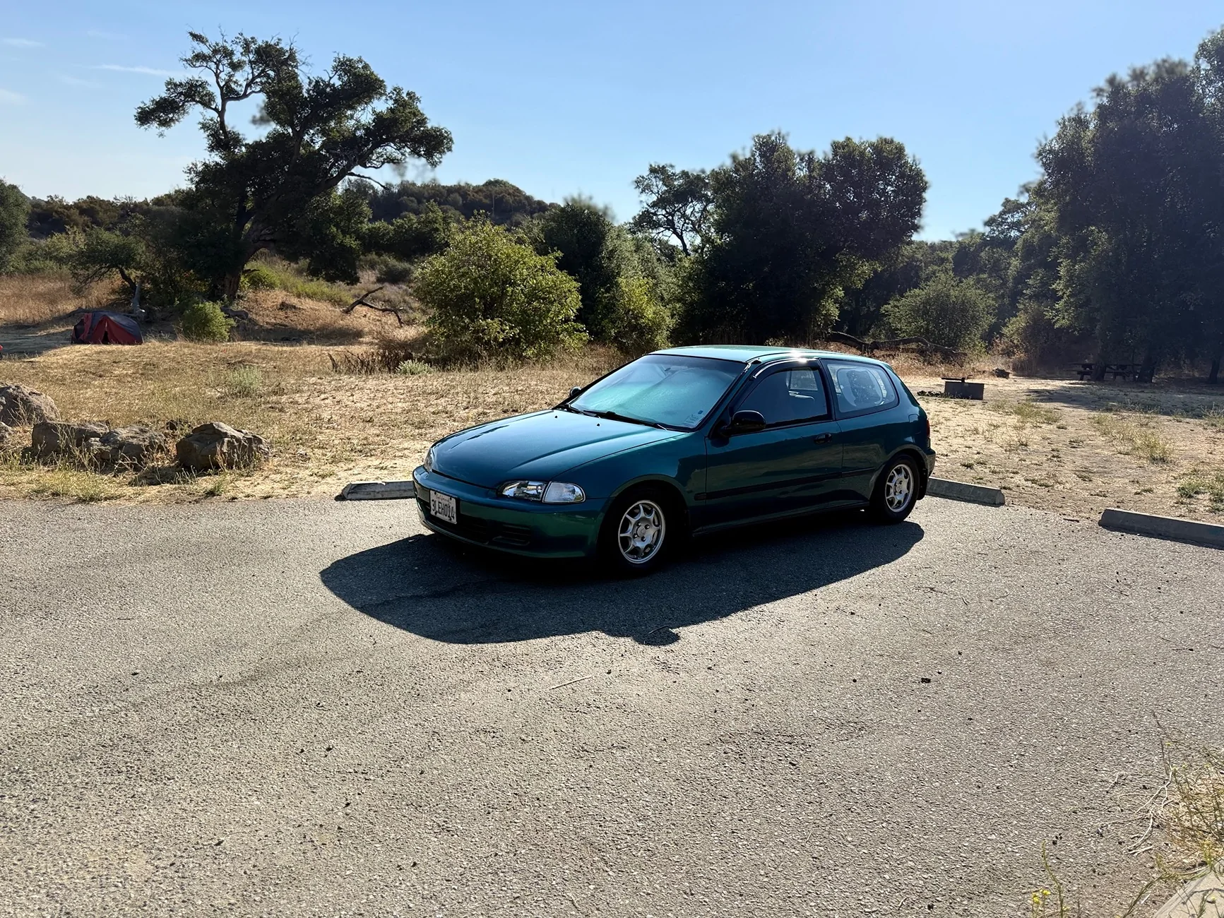 11th Gen Honda Civic 2026 FL5 Speculation Thread IMG_6330