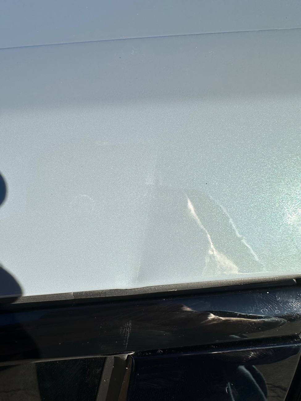 11th Gen Honda Civic Advice for cosmetic damage IMG_6413