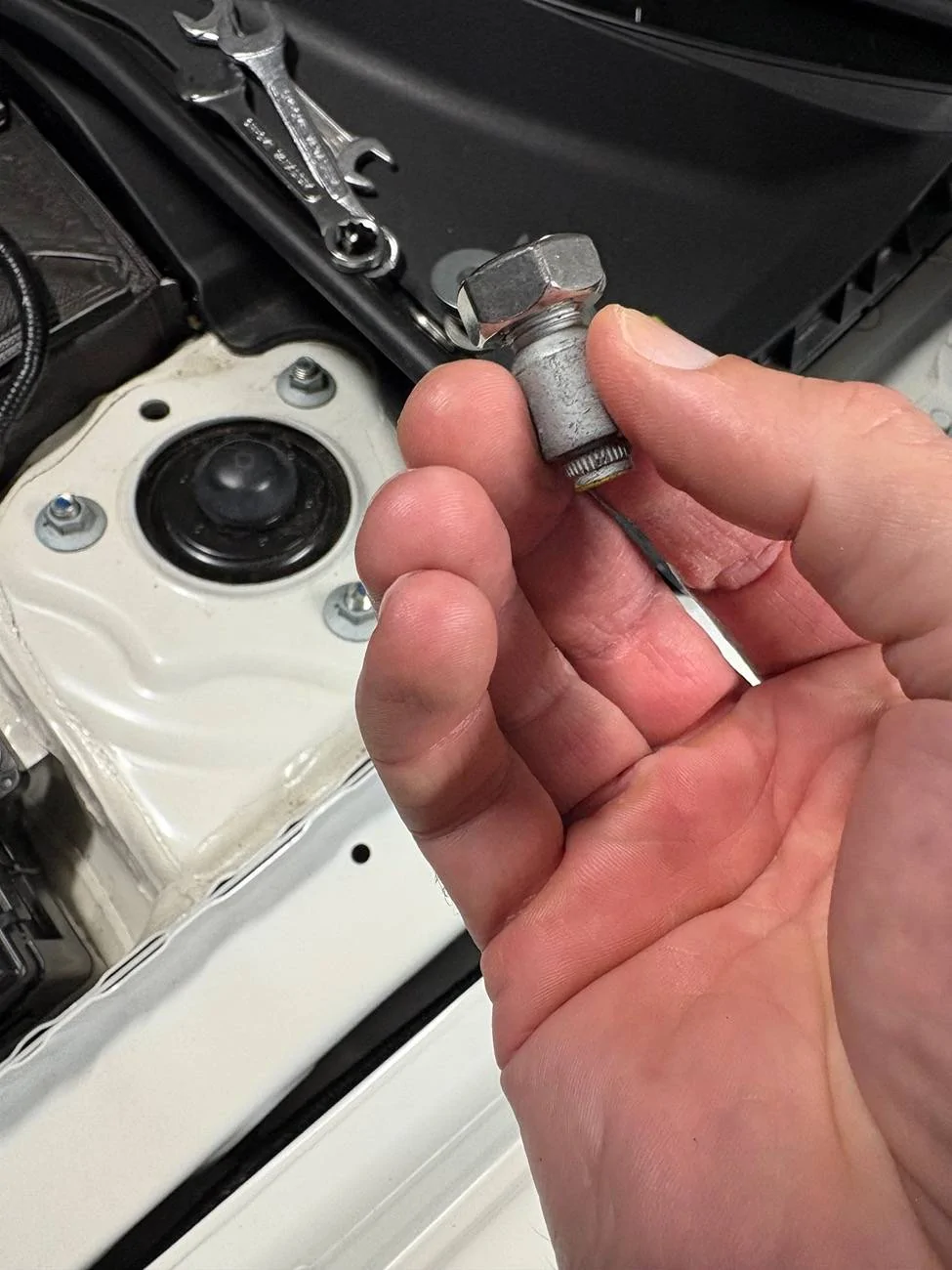 11th Gen Honda Civic What did you do to your FL5 today? IMG_6503