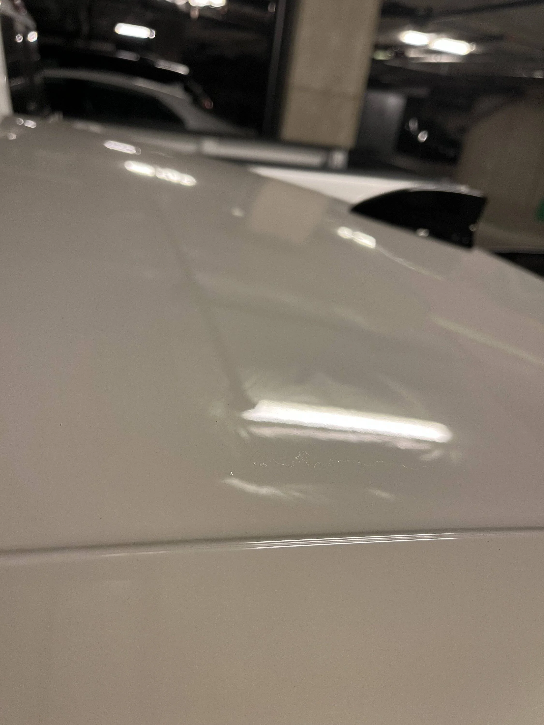 11th Gen Honda Civic FL5 Roof peeling? IMG_6810