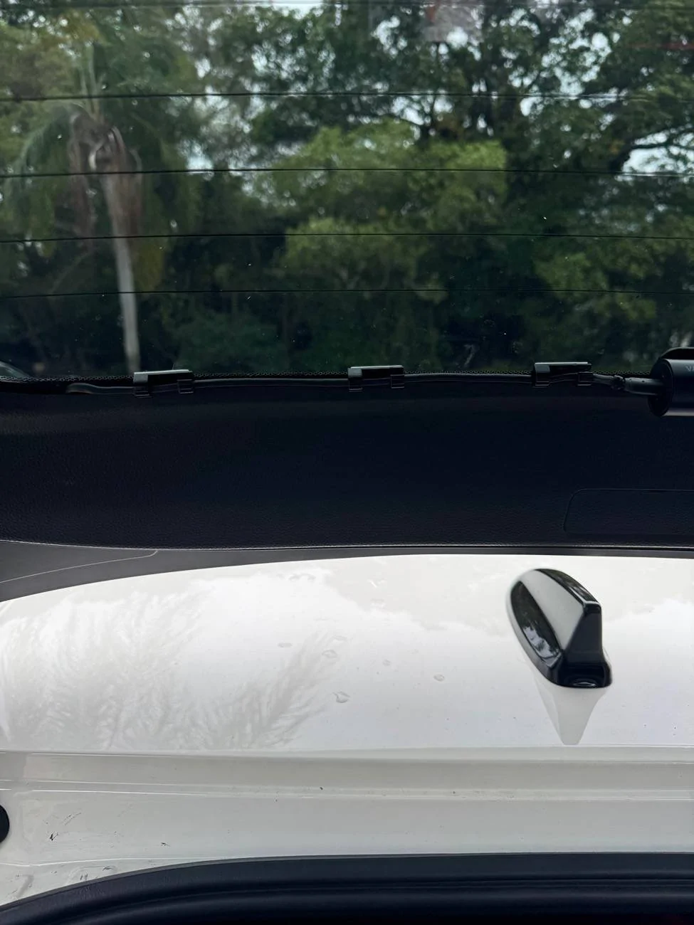 11th Gen Honda Civic FINALLY - Clean Rear Dash Cam Install (no drilling or wires sticking out) IMG_6941