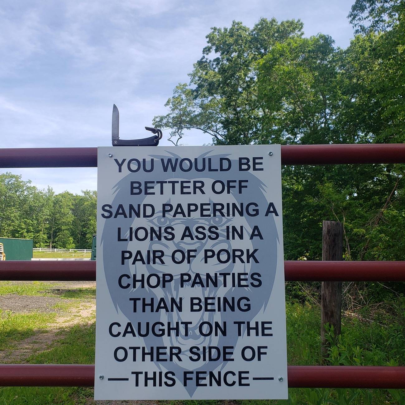 11th Gen Honda Civic What did you haul in your Type R today? IMG_7328