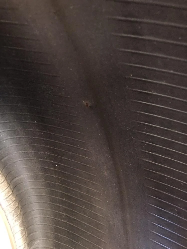 11th Gen Honda Civic Sold IMG_7367