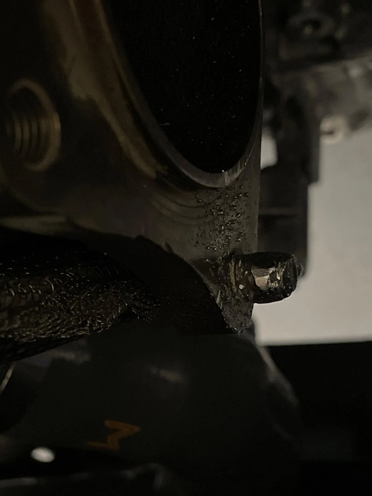 11th Gen Honda Civic Need suggestions IMG_7639