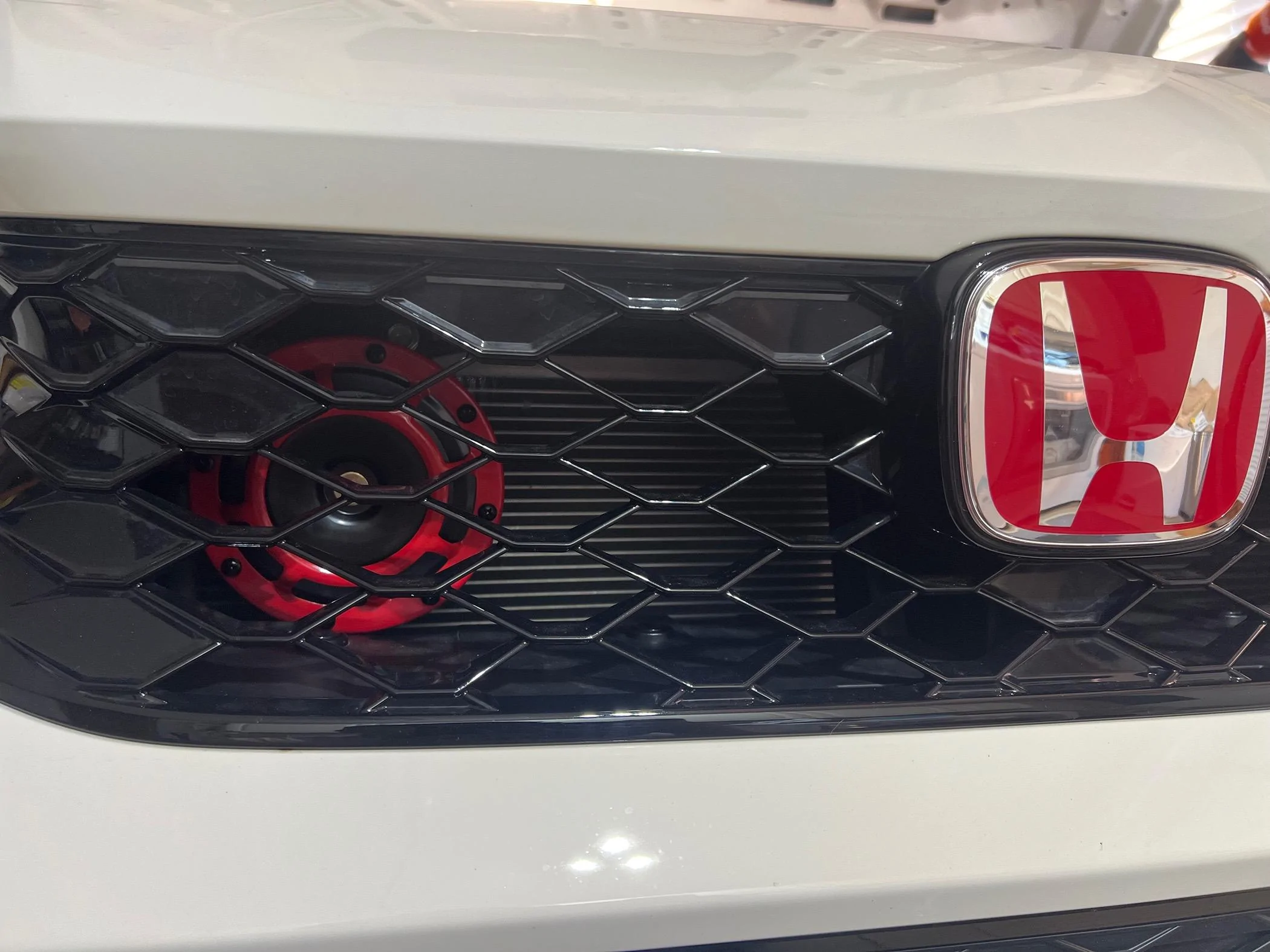 11th Gen Honda Civic New horns. IMG_7713