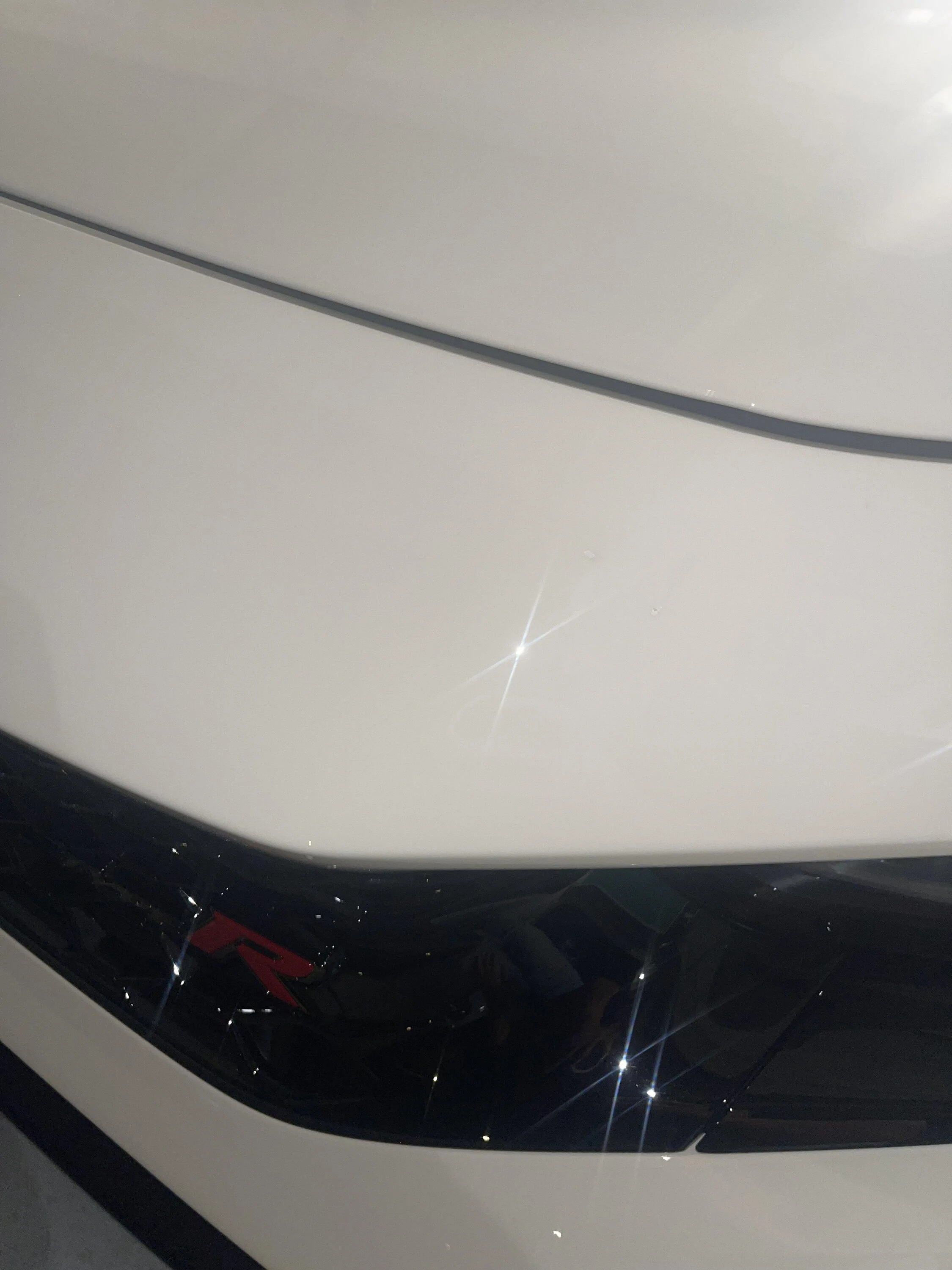 11th Gen Honda Civic What did you ppf? IMG_8024