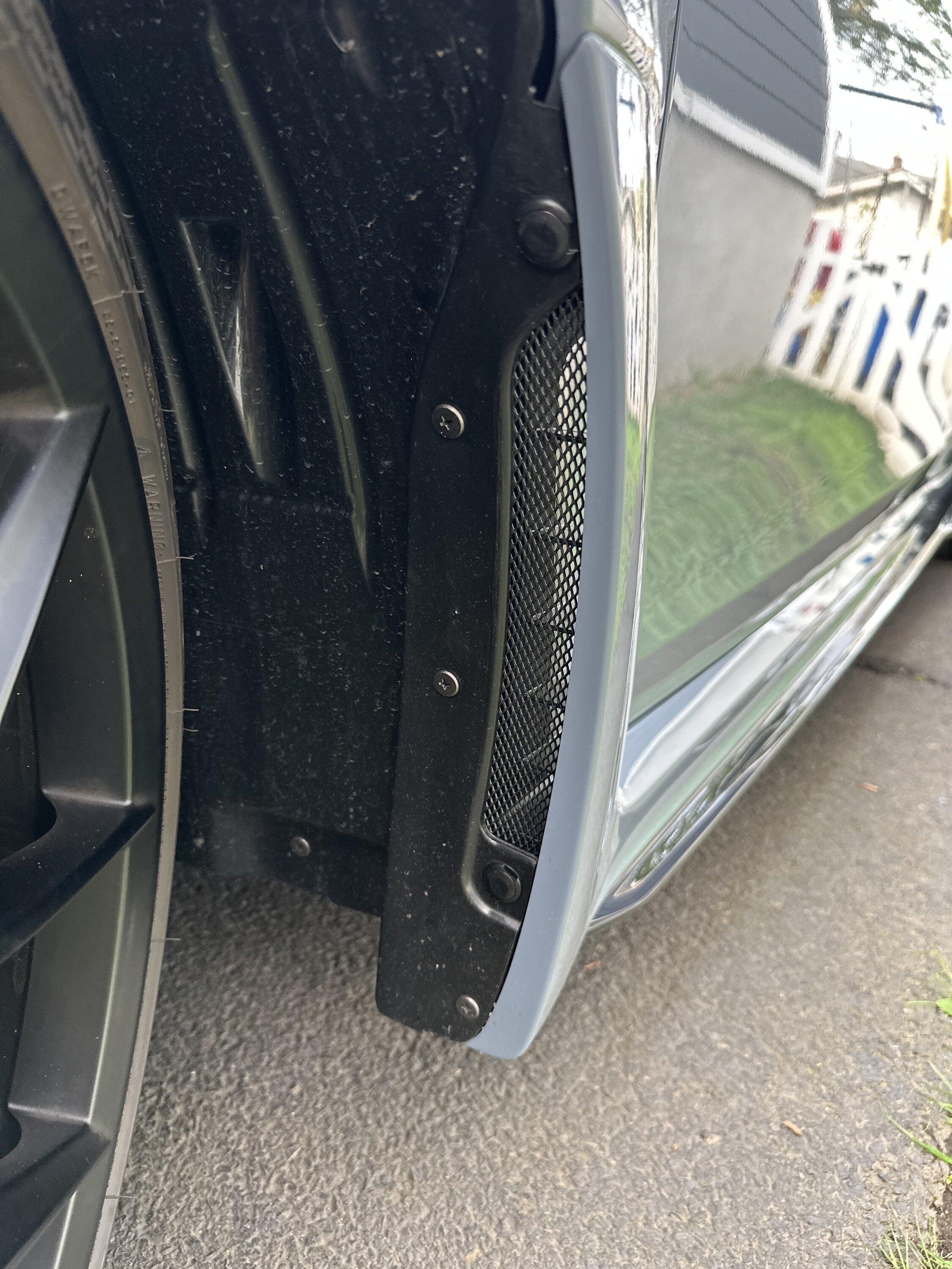 11th Gen Honda Civic Fender vent mesh? IMG_8145
