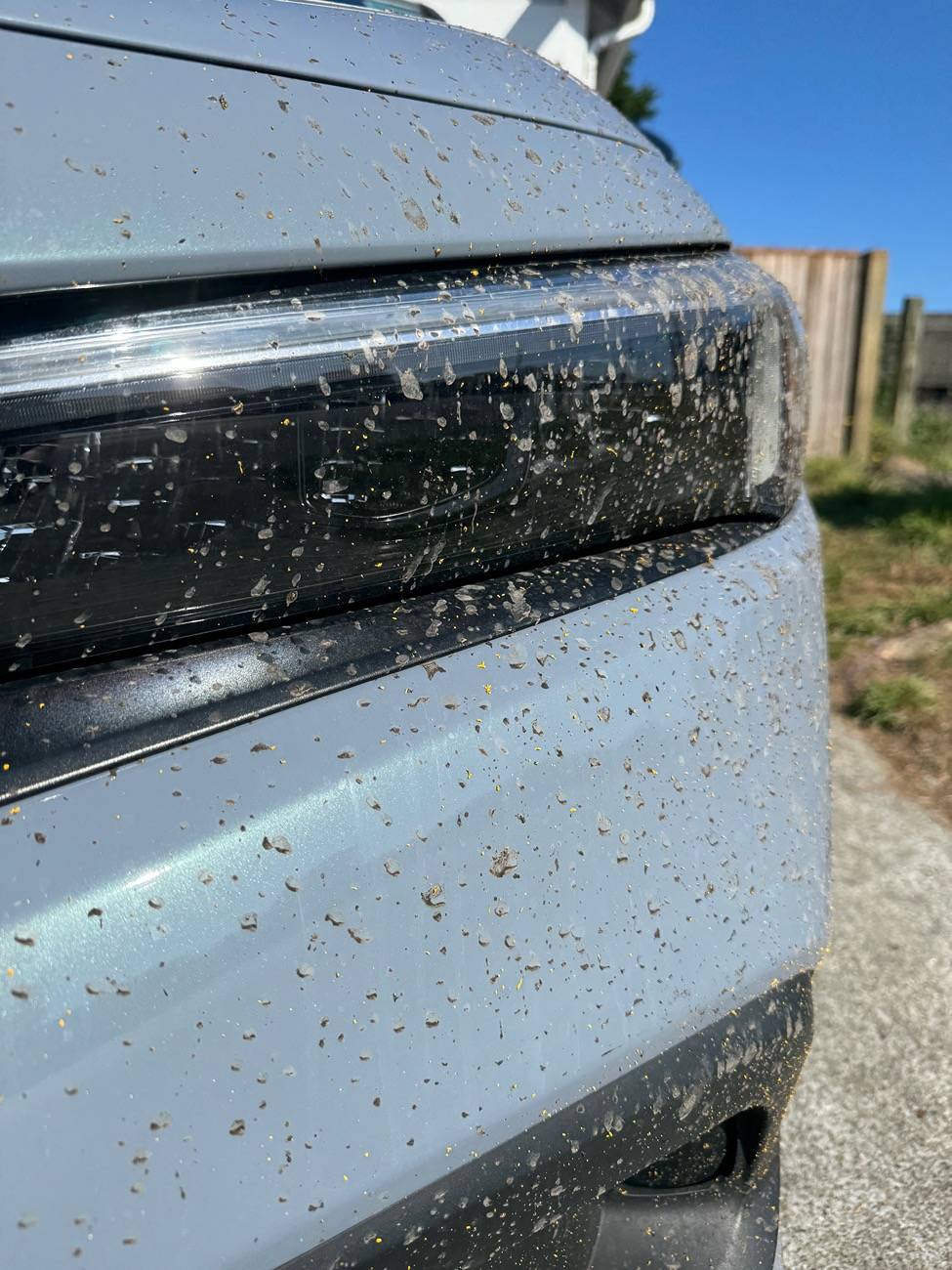 11th Gen Honda Civic Car transport delivered the car damaged IMG_8451