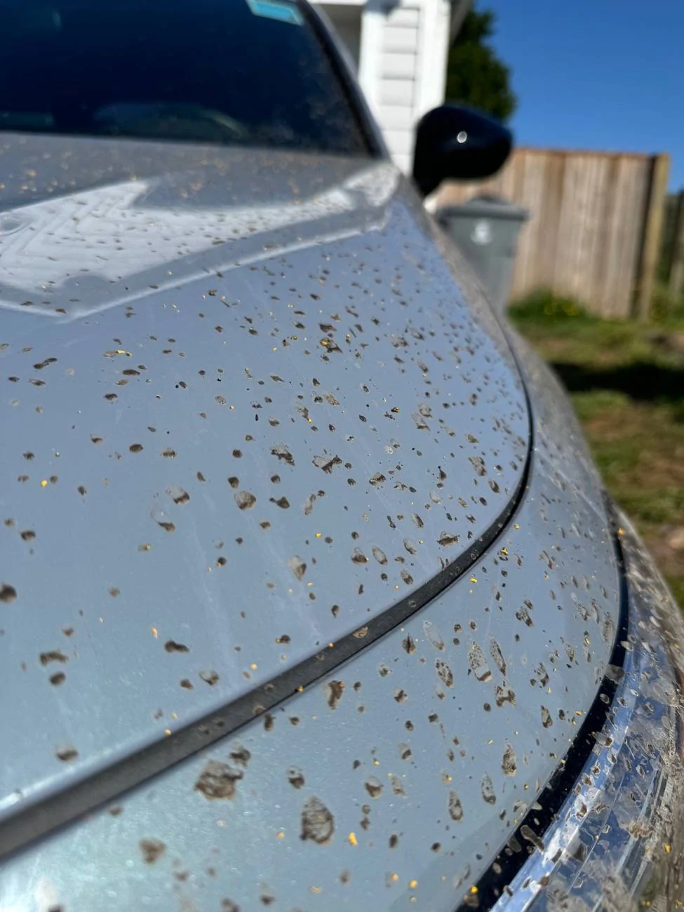 11th Gen Honda Civic Car transport delivered the car damaged IMG_8454