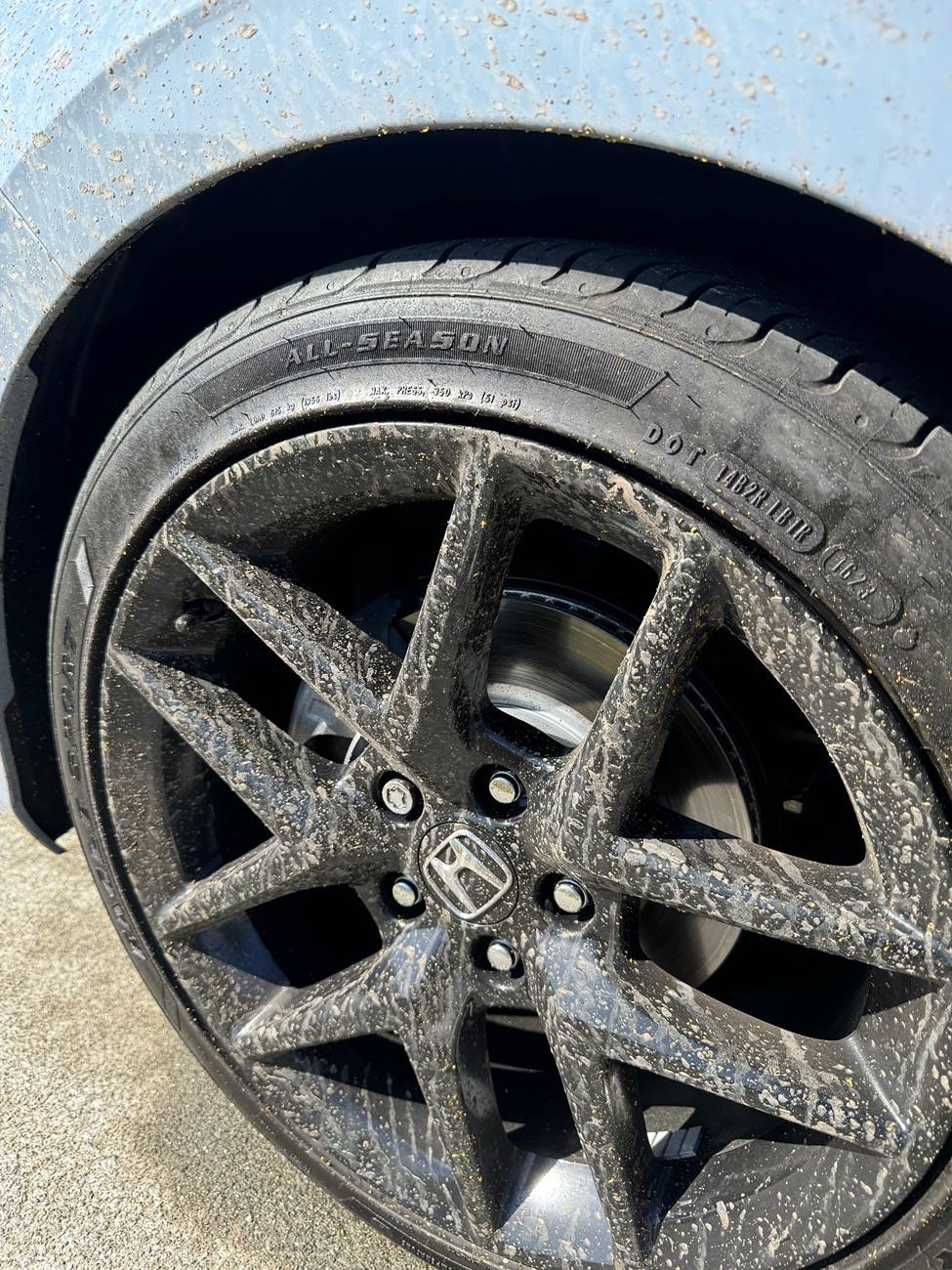 11th Gen Honda Civic Car transport delivered the car damaged IMG_8467