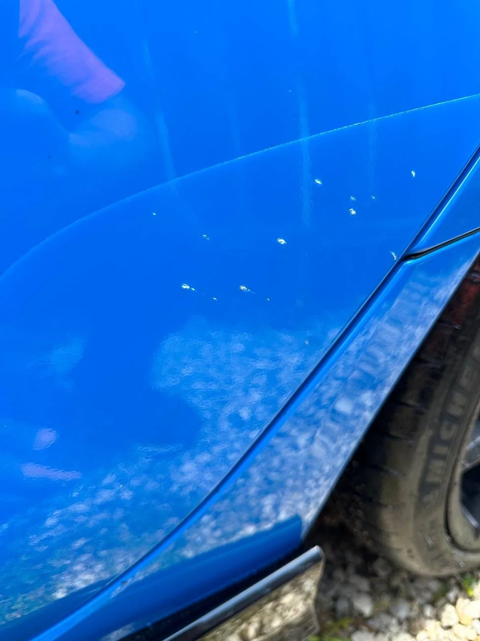 11th Gen Honda Civic Film on rear doors IMG_8550