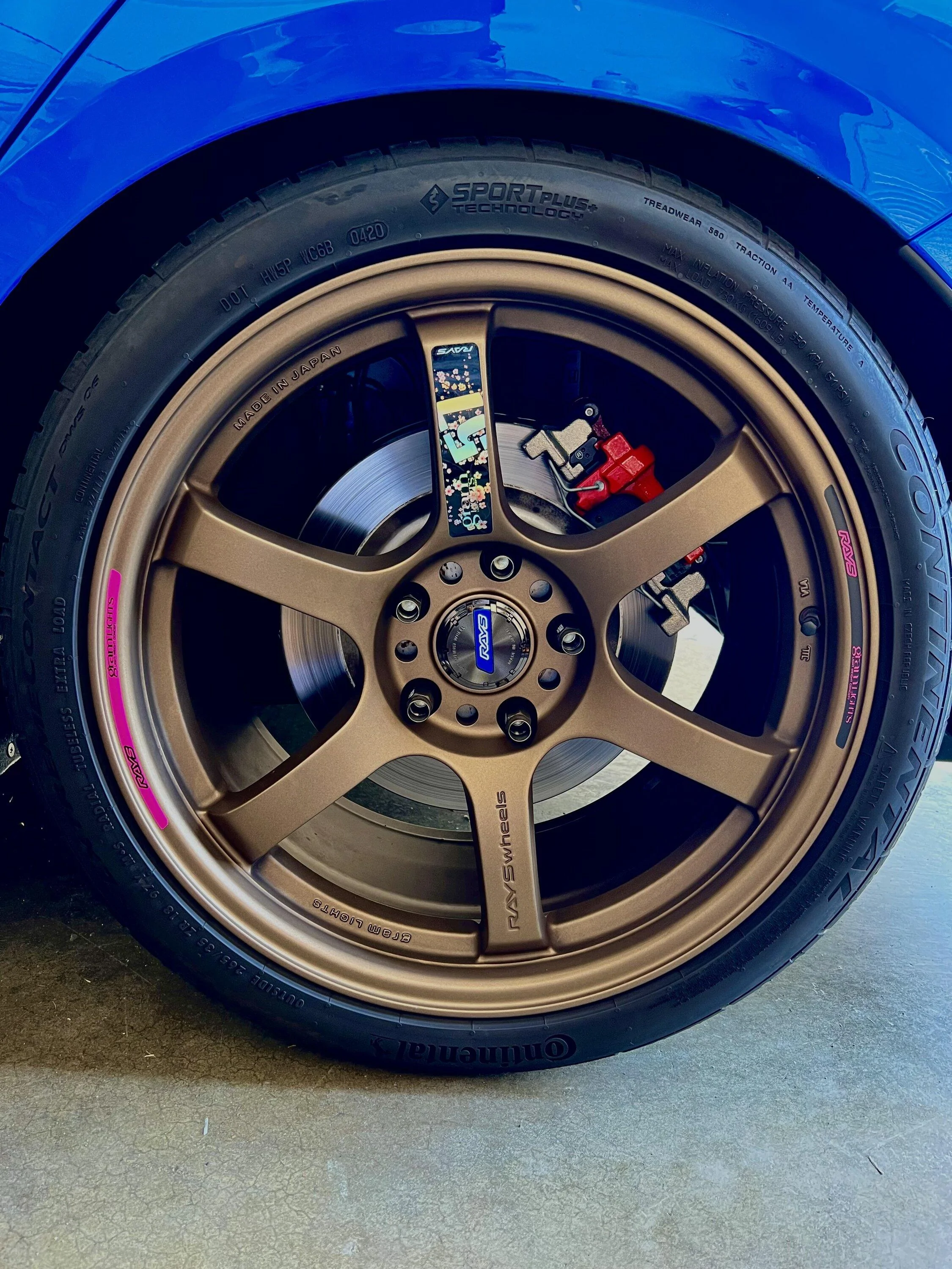 11th Gen Honda Civic Rays 57 Pron IMG_8825