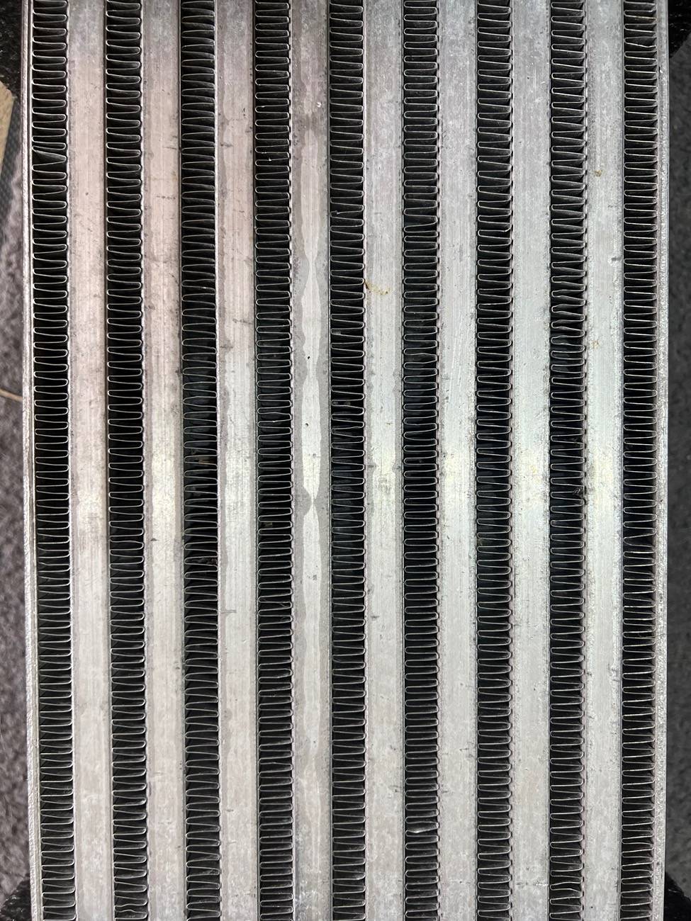 11th Gen Honda Civic PRL FMIC. Norfolk VA IMG_8964