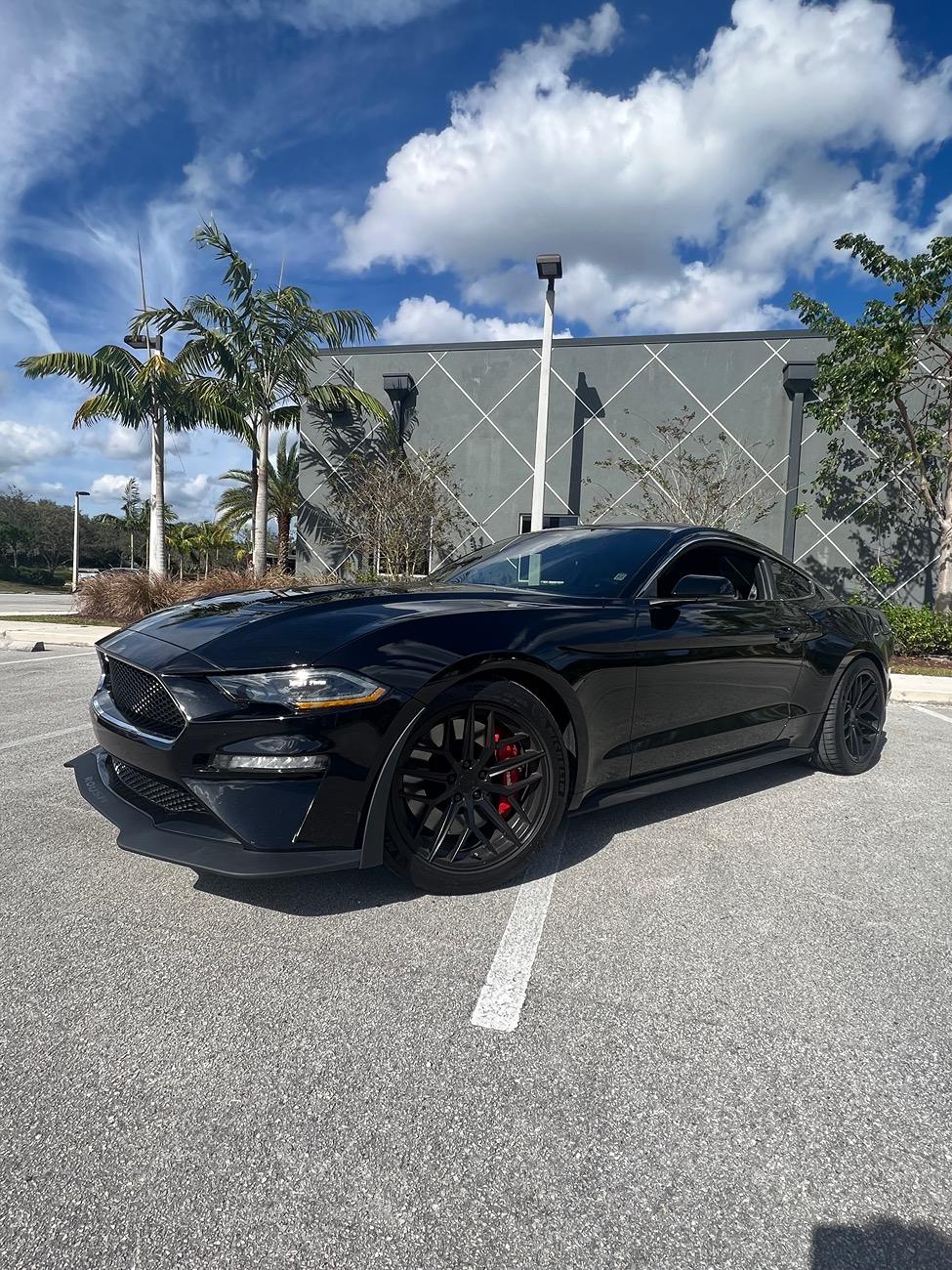 11th Gen Honda Civic Springs + Tall Tires IMG_9231