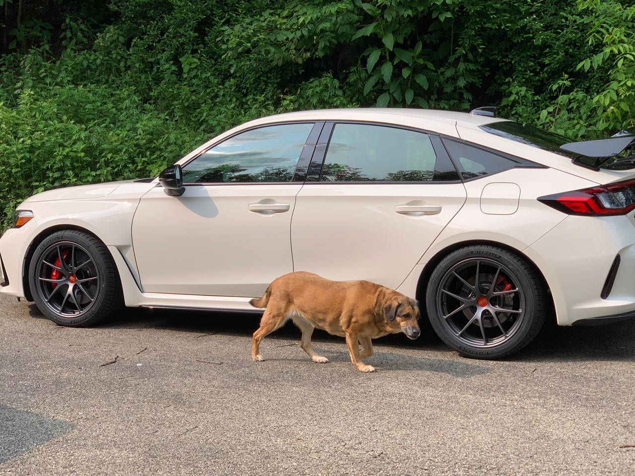 11th Gen Honda Civic Official Wheel Fitment Thread for 11th Gen FL5 Civic Type R IMG_9820
