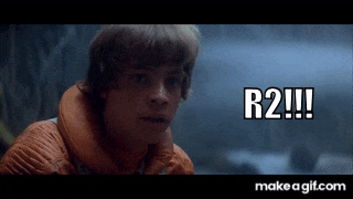 11th Gen Honda Civic PointByPatrol #21985 Build Journal! RIP #9243 KcShgA